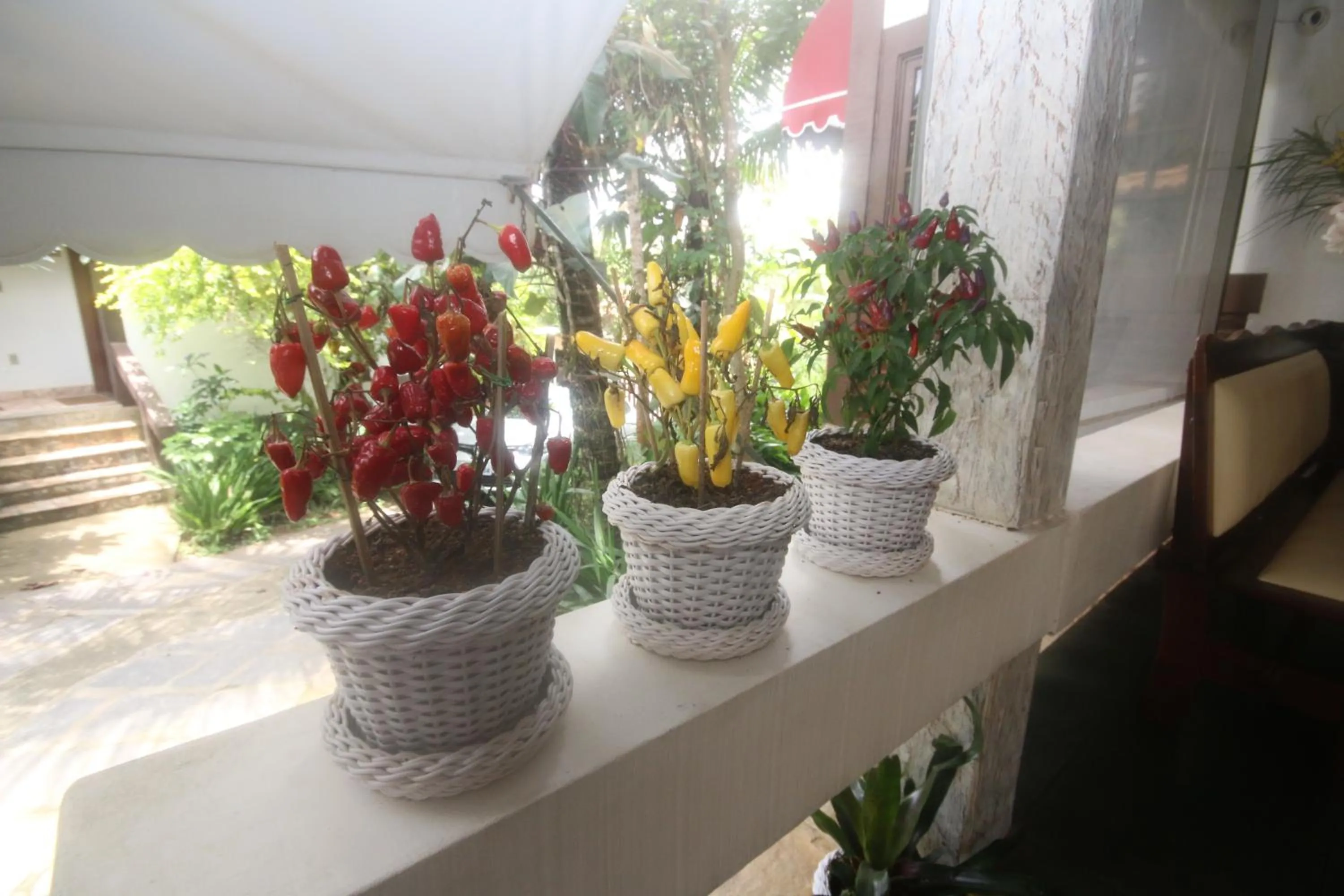 Decorative detail in Pousada do Marujo