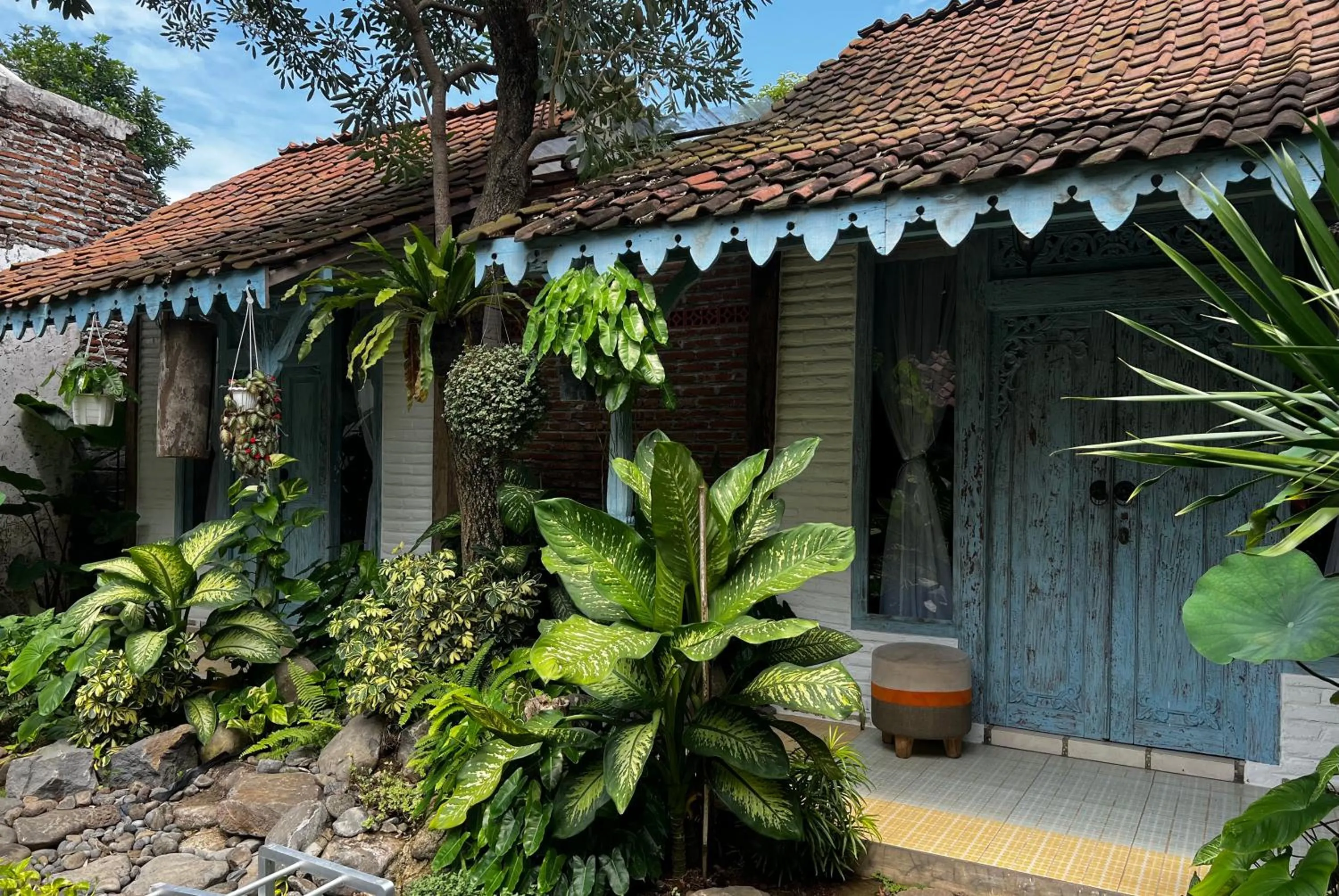 Happy House Bromo backpacker