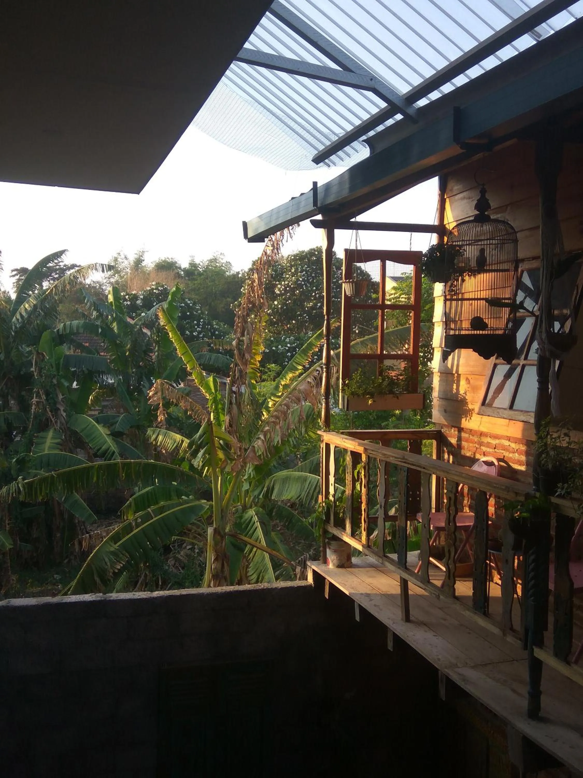 Happy House Bromo backpacker