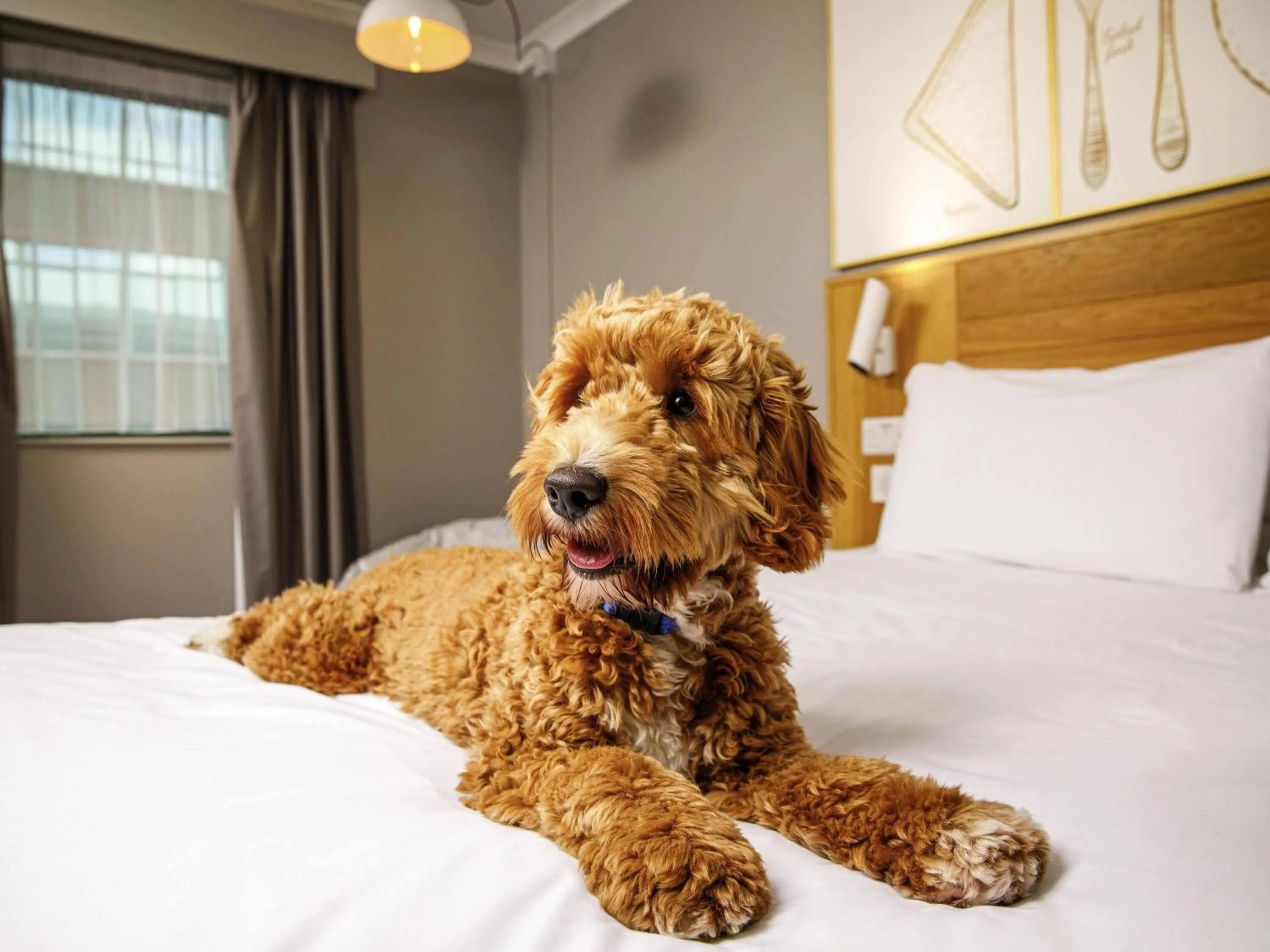 Bed in ibis Styles Birmingham Centre