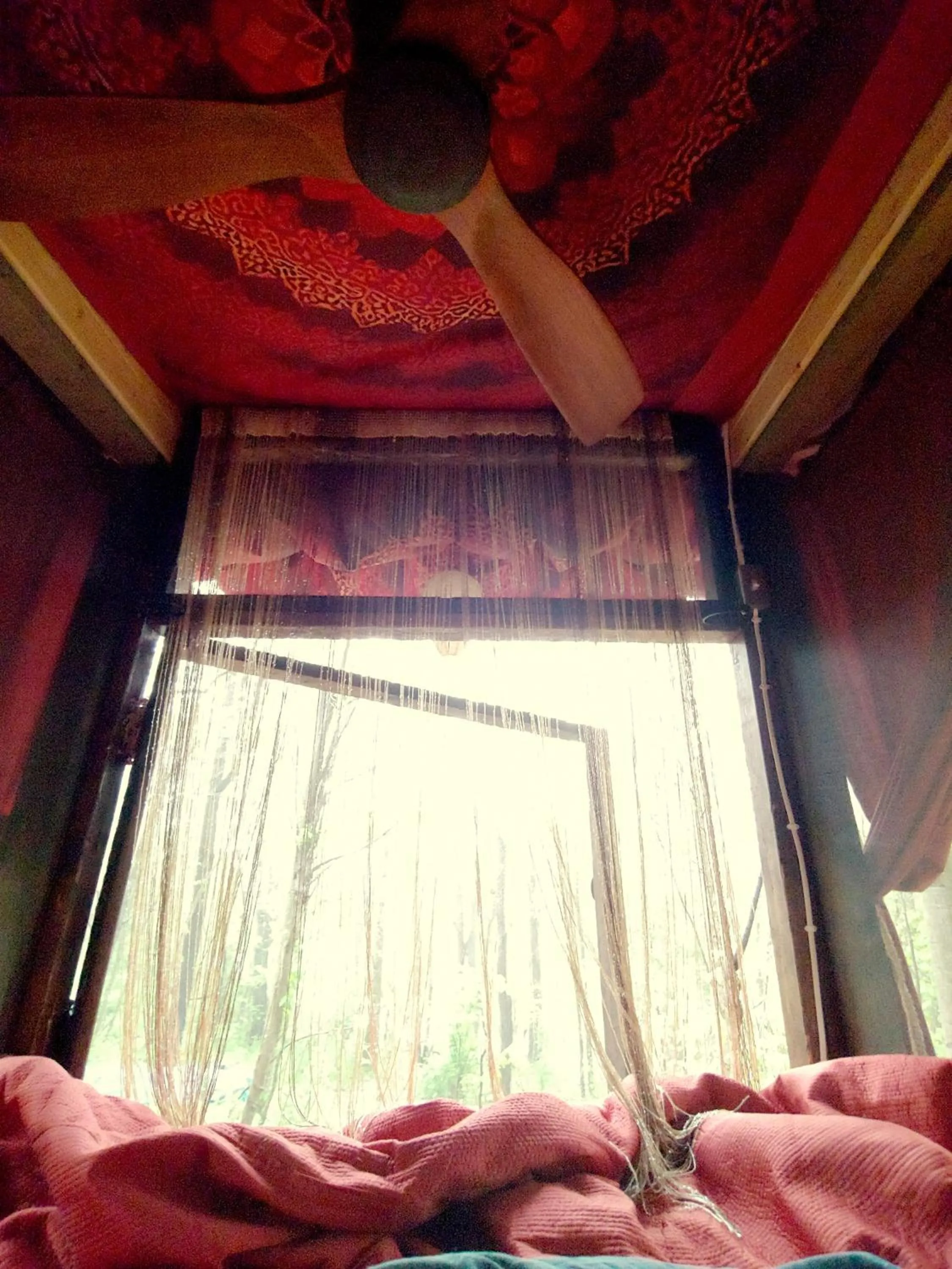 Bed in Lost River Hostel