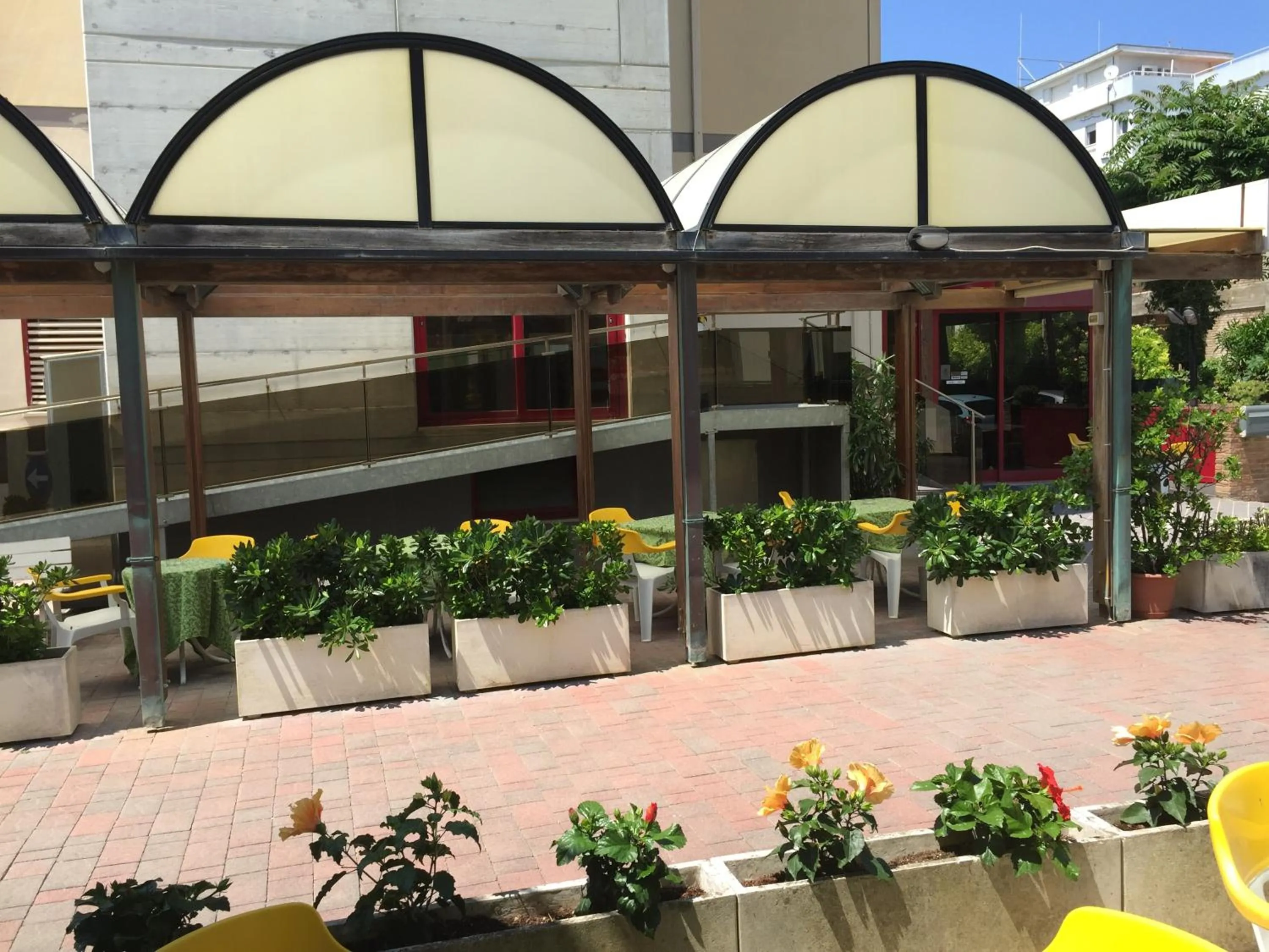 Garden in Hotel Fiorella