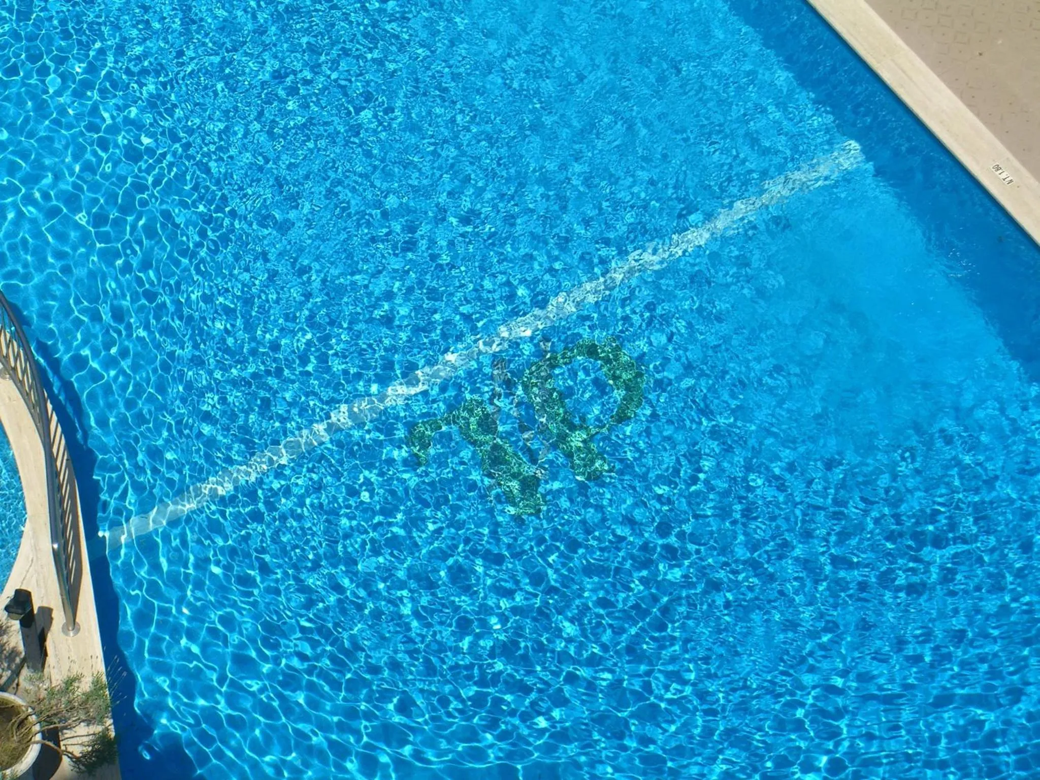 Summer in New Tiffany's Park