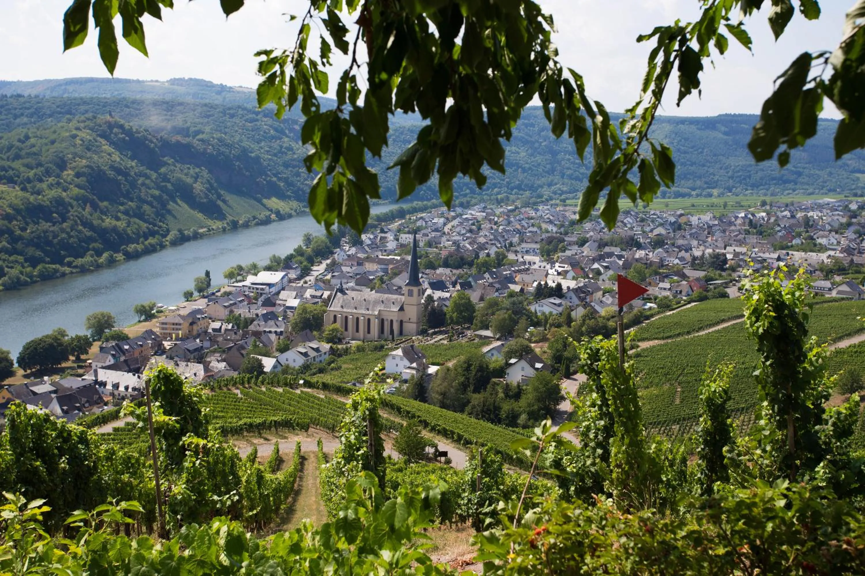 Other in Hotel Restaurant Sonnenlay