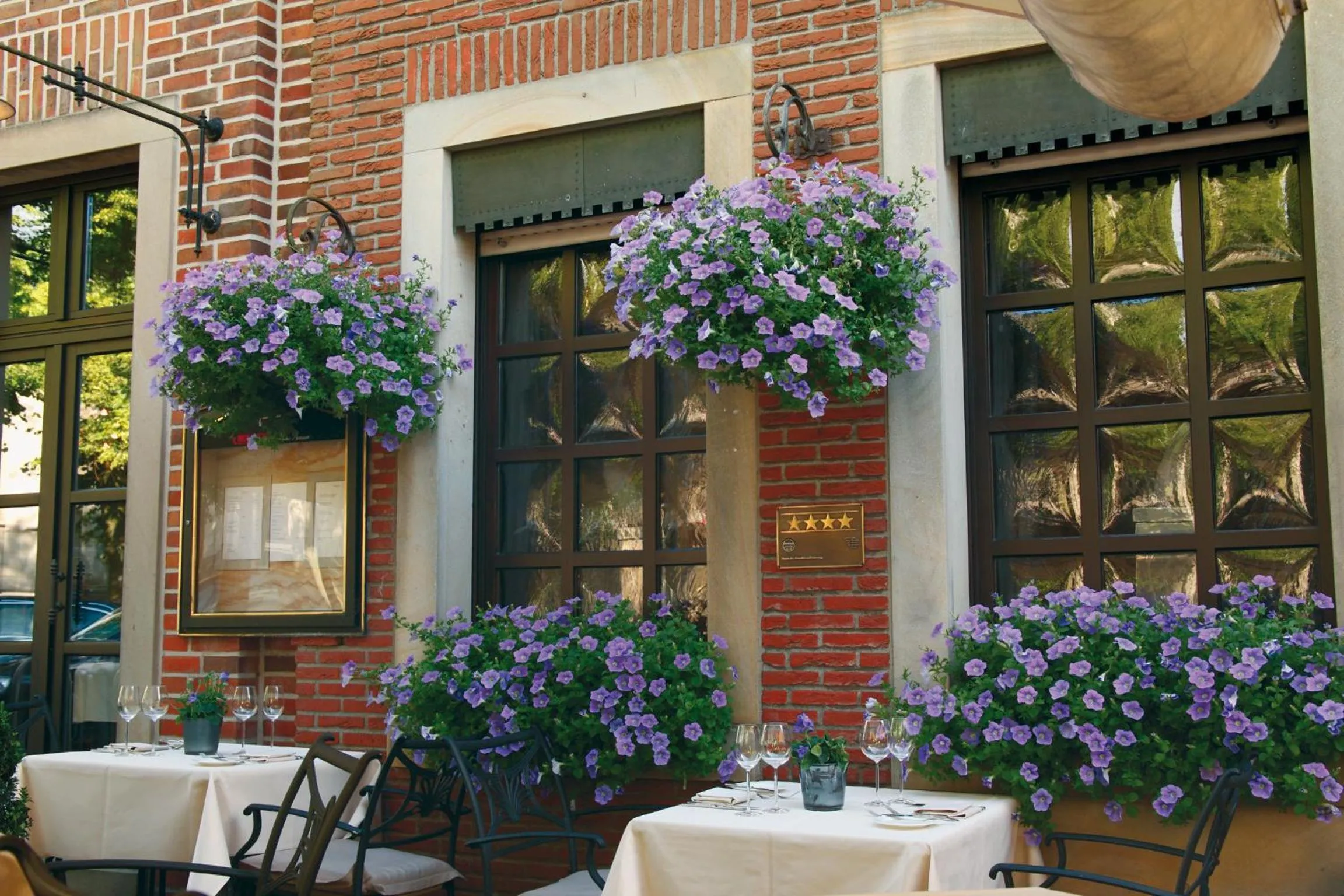 Facade/entrance in Hotel Domschenke