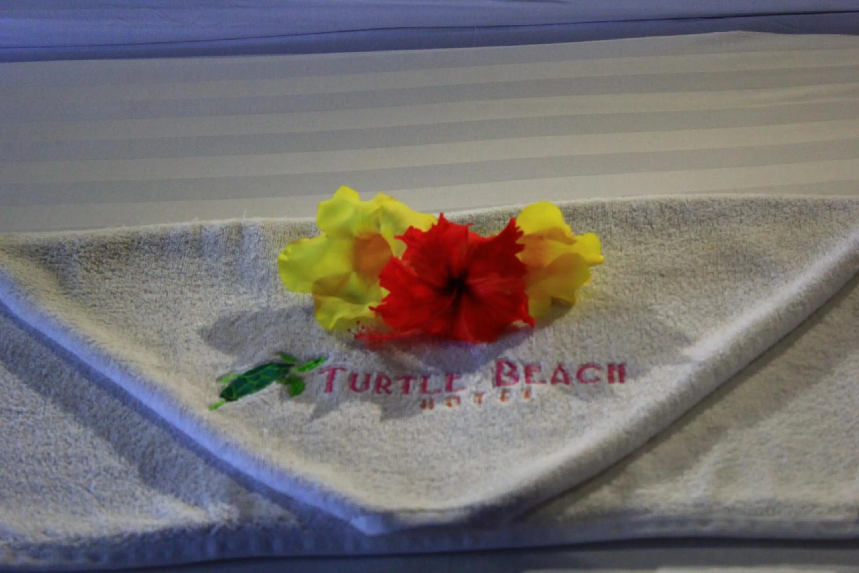 Property logo or sign in Turtle Beach Hotel