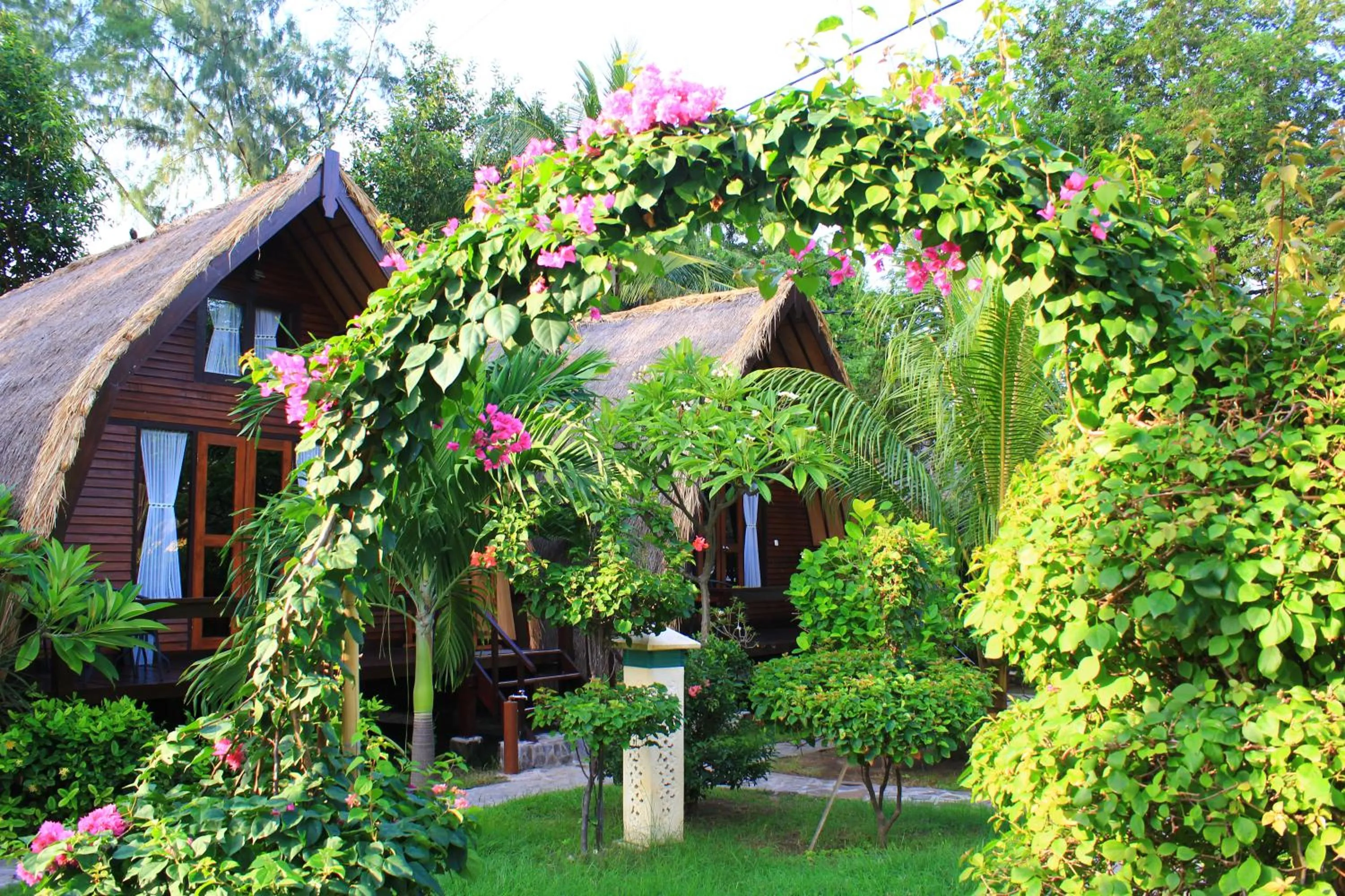 Garden in Turtle Beach Hotel