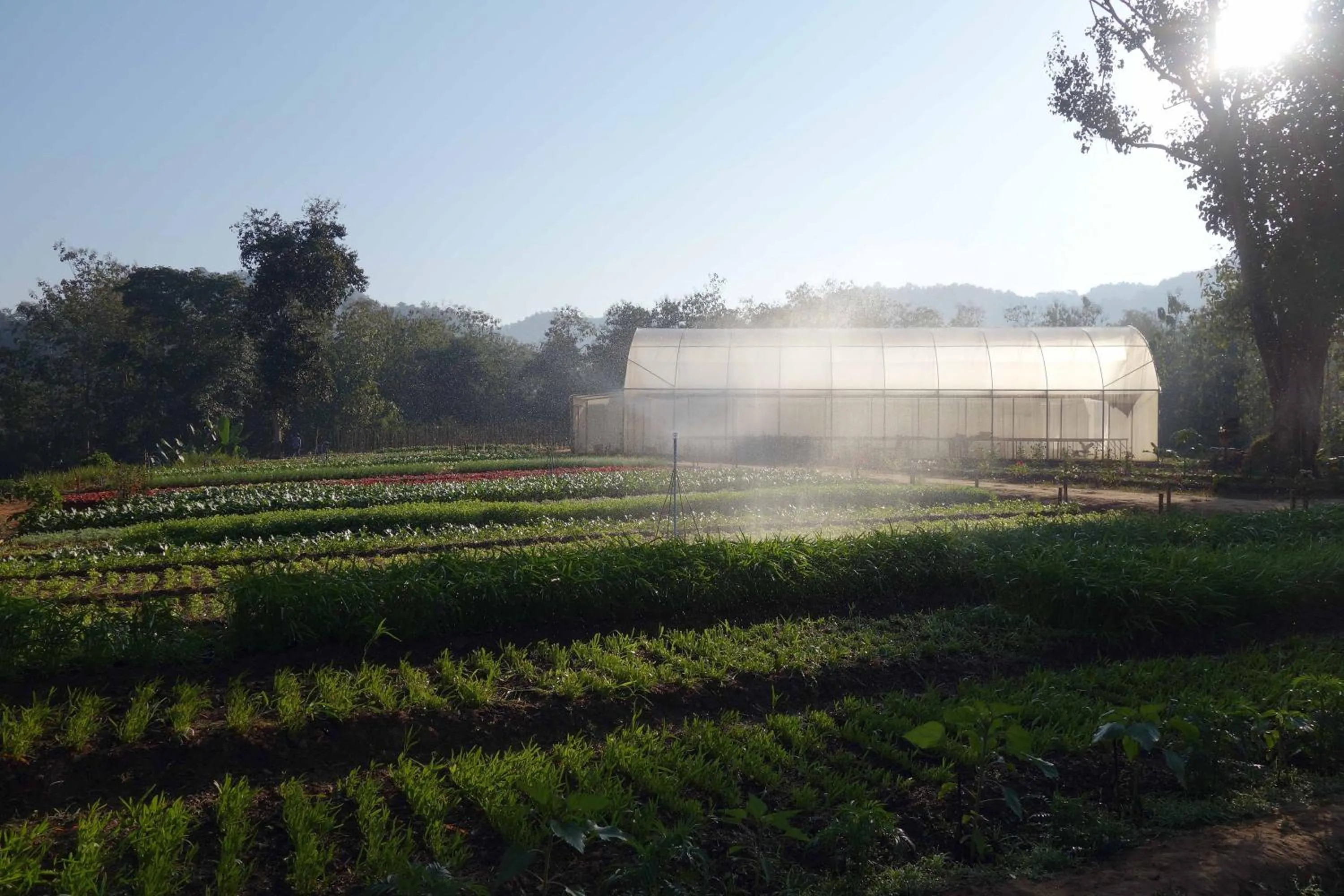 Garden in The Namkhan, a Small Luxury Hotel of the World