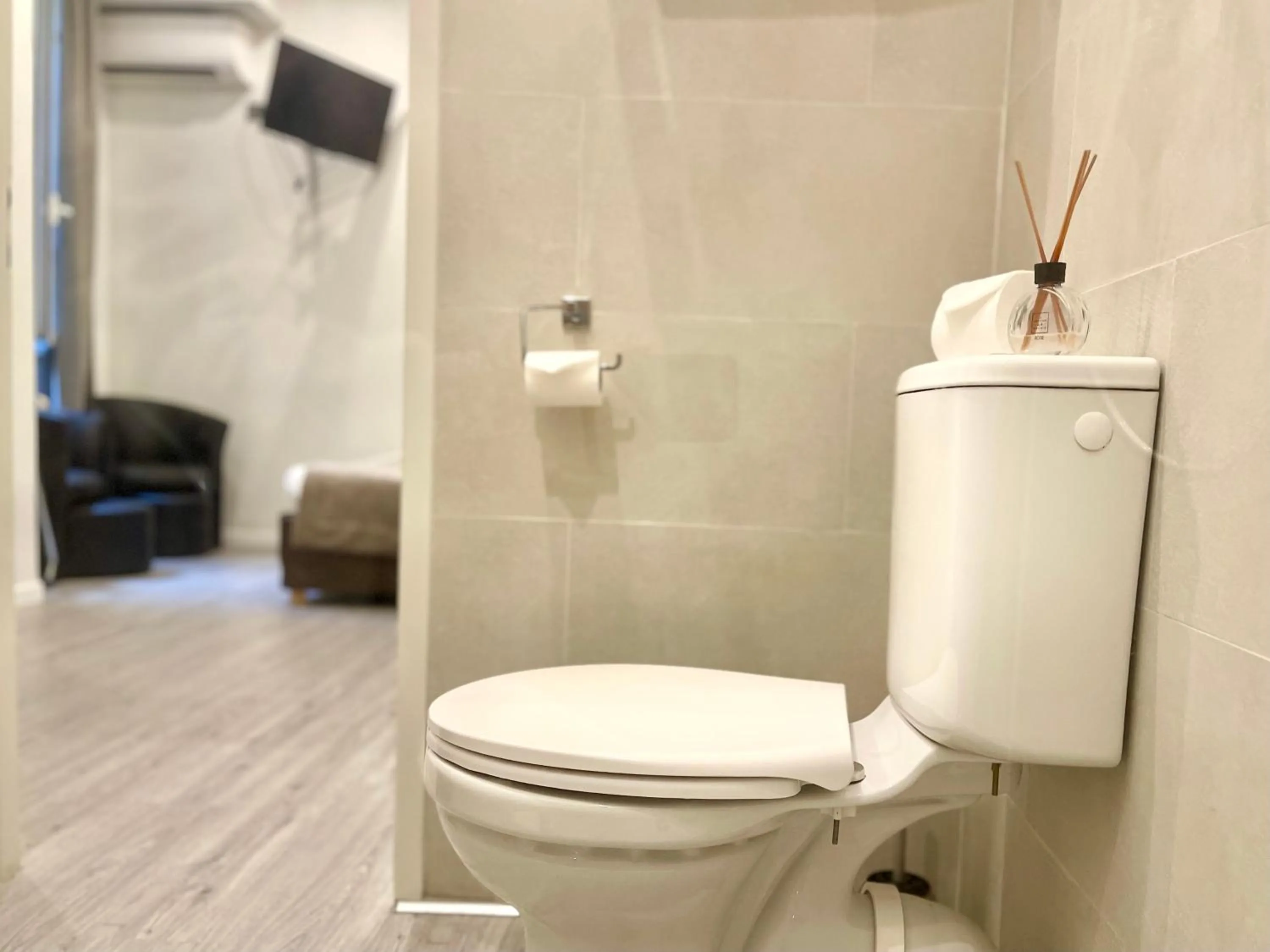 Toilet in Villa Berlioz