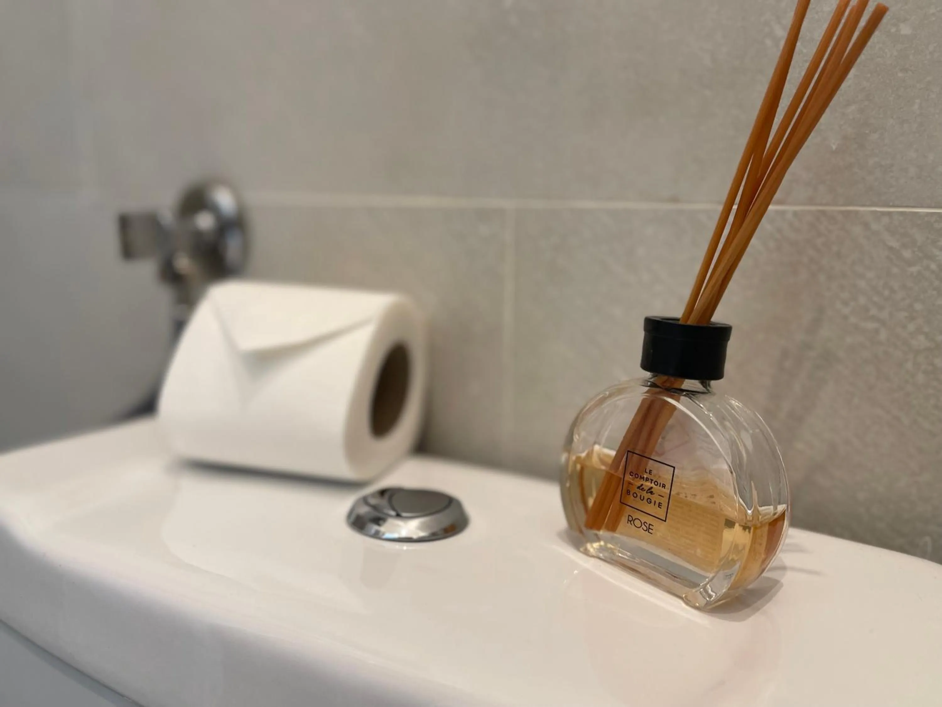 Toilet in Villa Berlioz