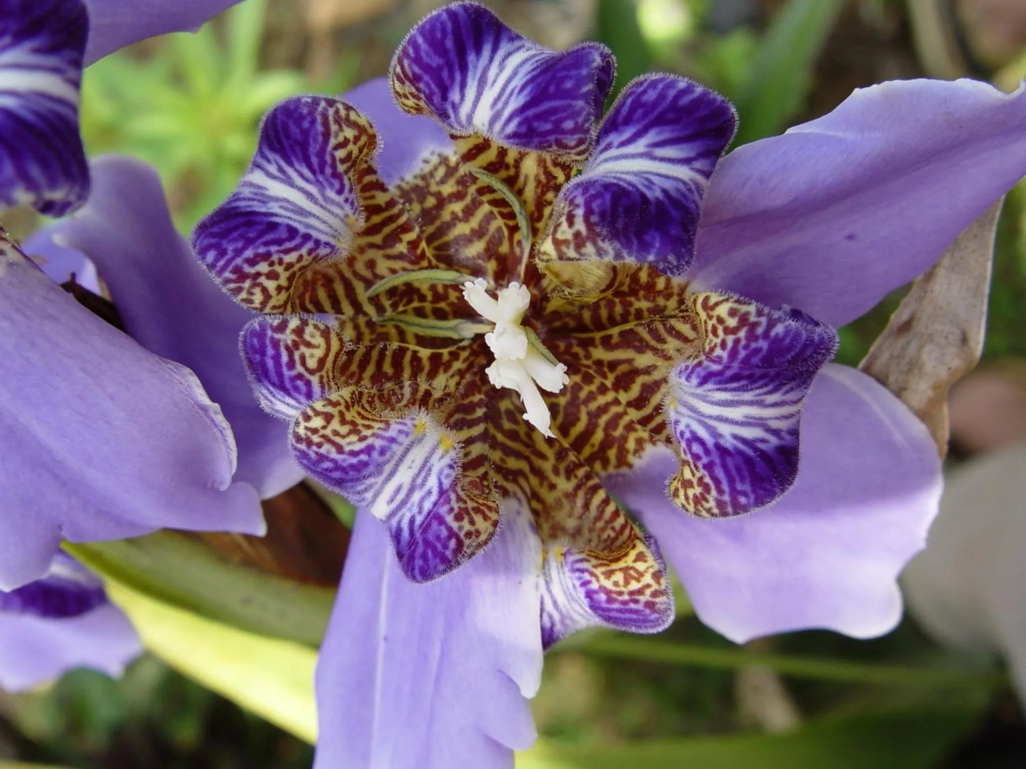 Other in Pestana Miramar São Tomé