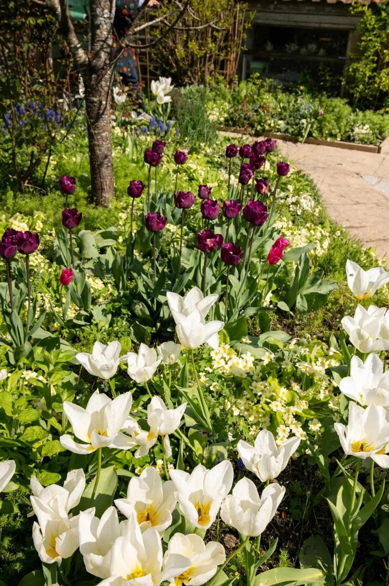 Garden in Corner House