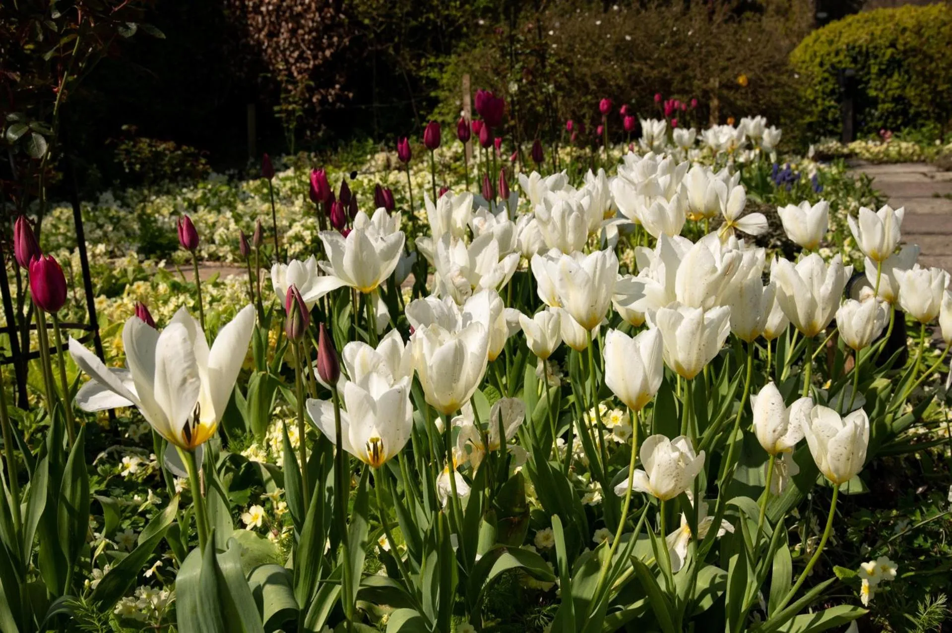 Garden in Corner House