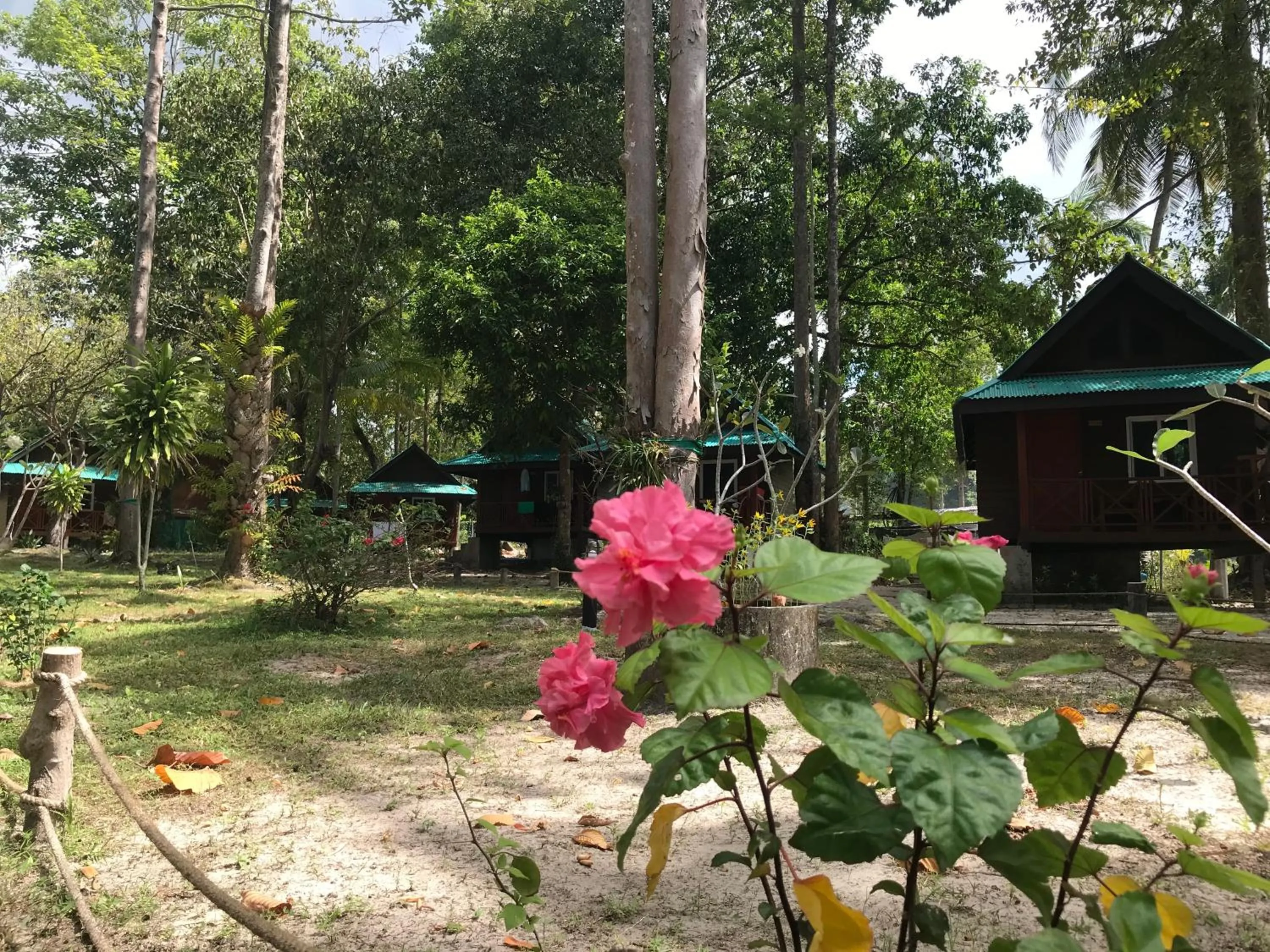 Garden in Koh Jum Delight Beach
