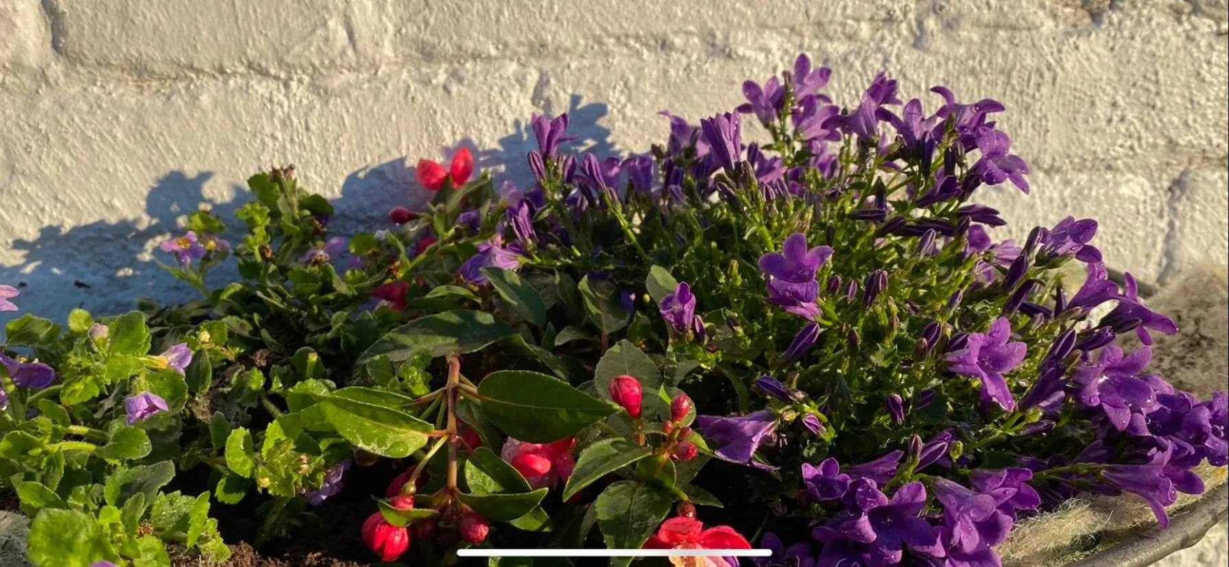 Decorative detail in George & Dragon Country Pub & Hotel Wolverton Townsend