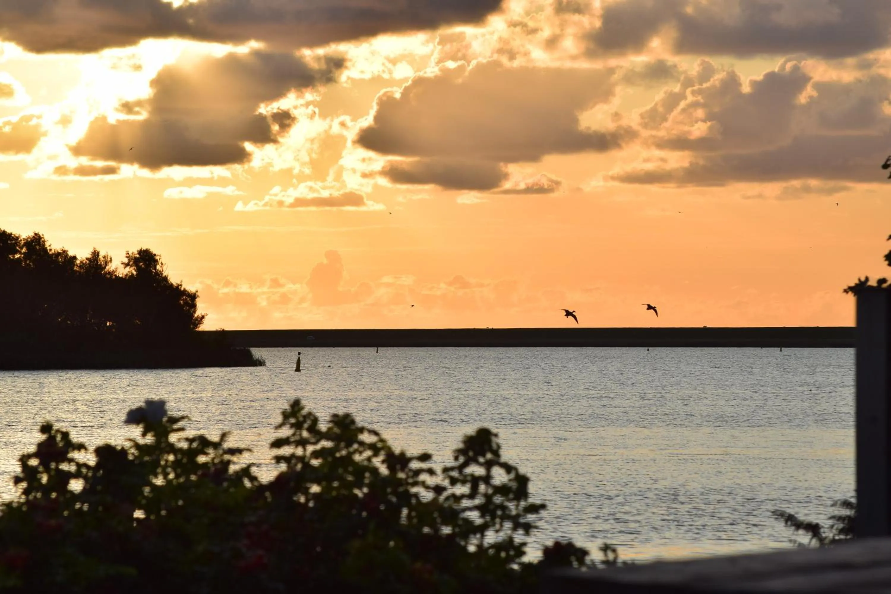 Natural landscape in Slaaphuisjes LauwersmeerPlezier!