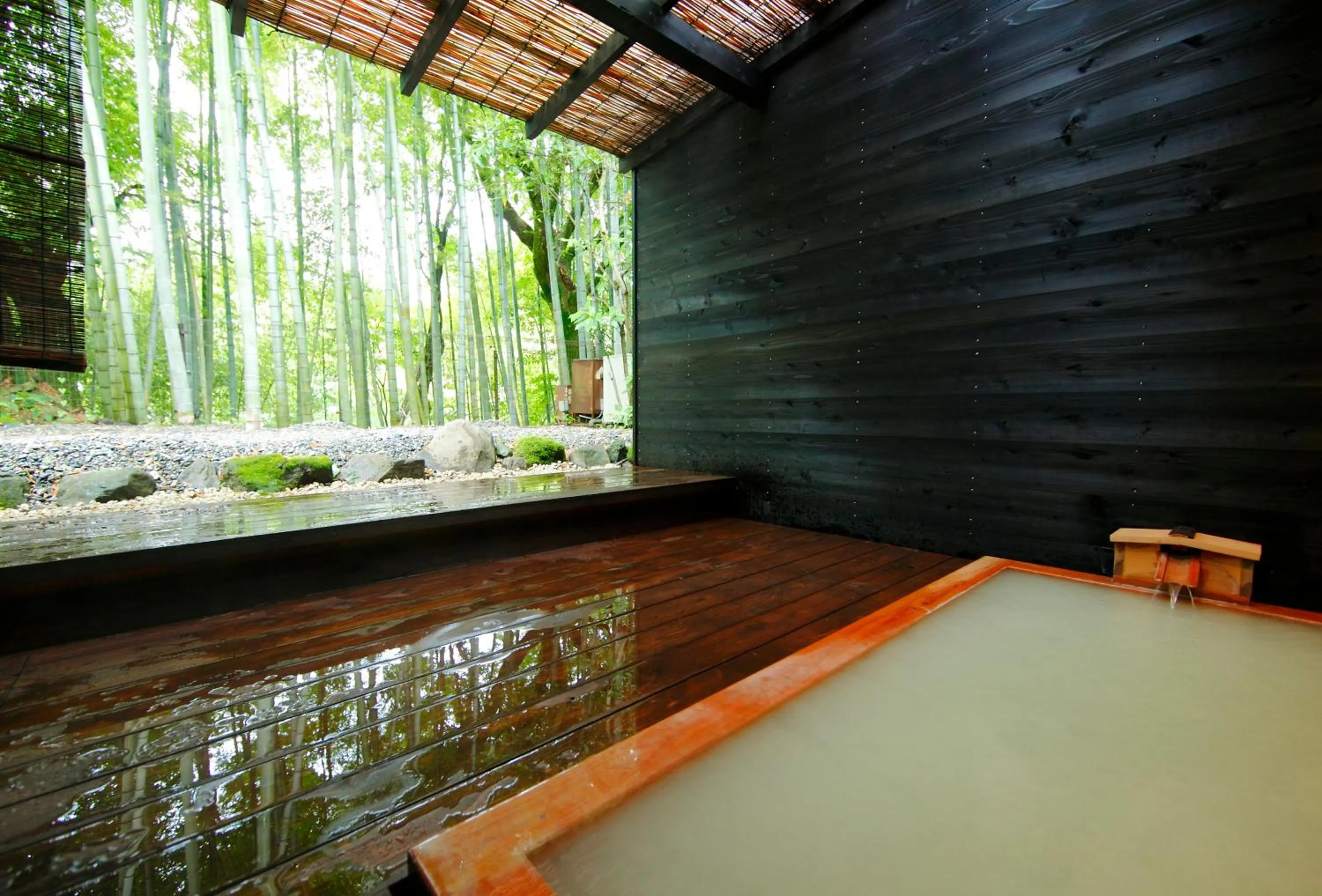 Hot Spring Bath in Mount View Hakone