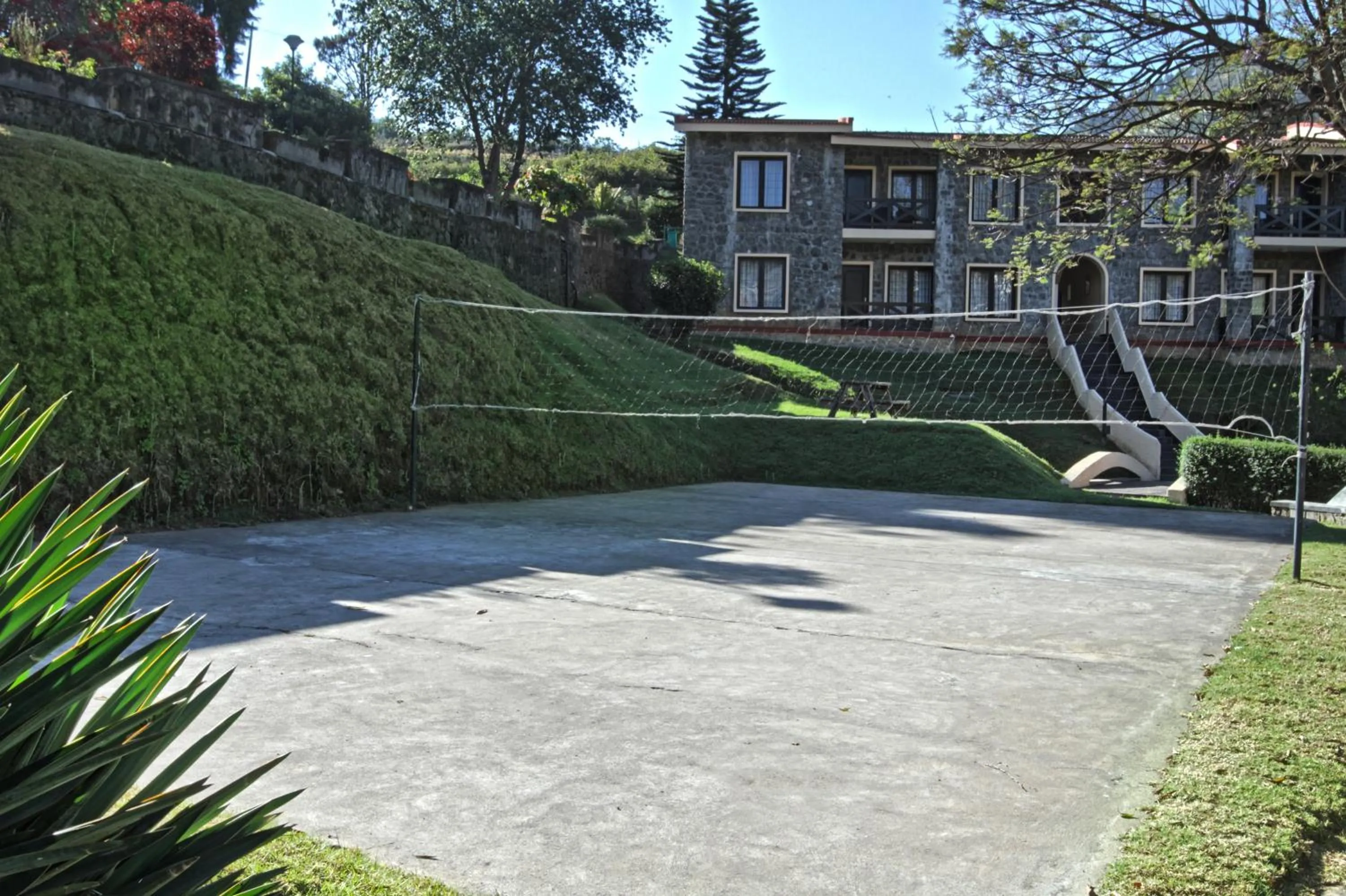 Sports in Green Pastures - A Hill Country Resort