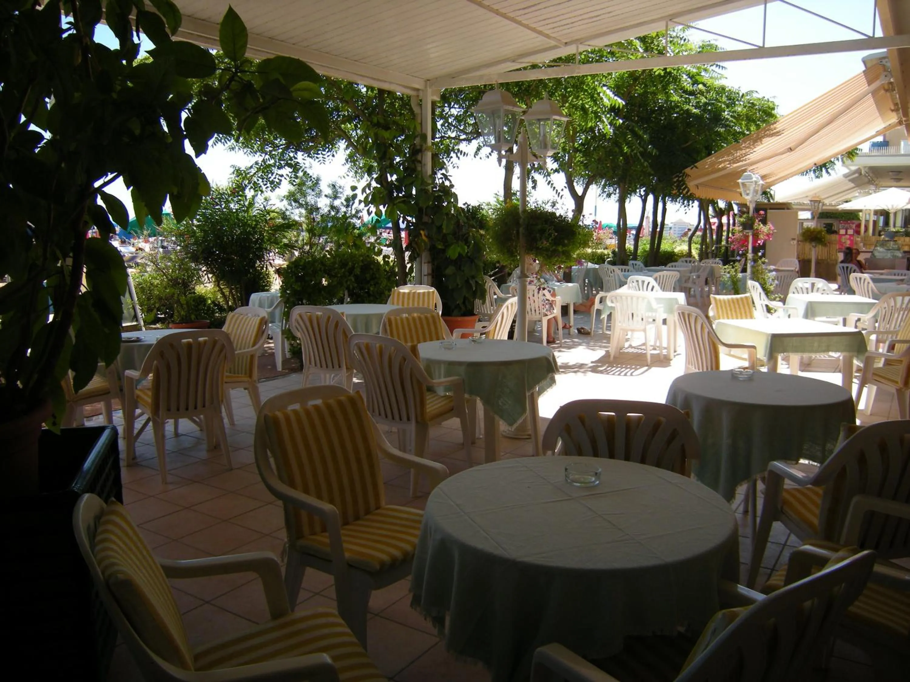 Patio in Hotel Continental
