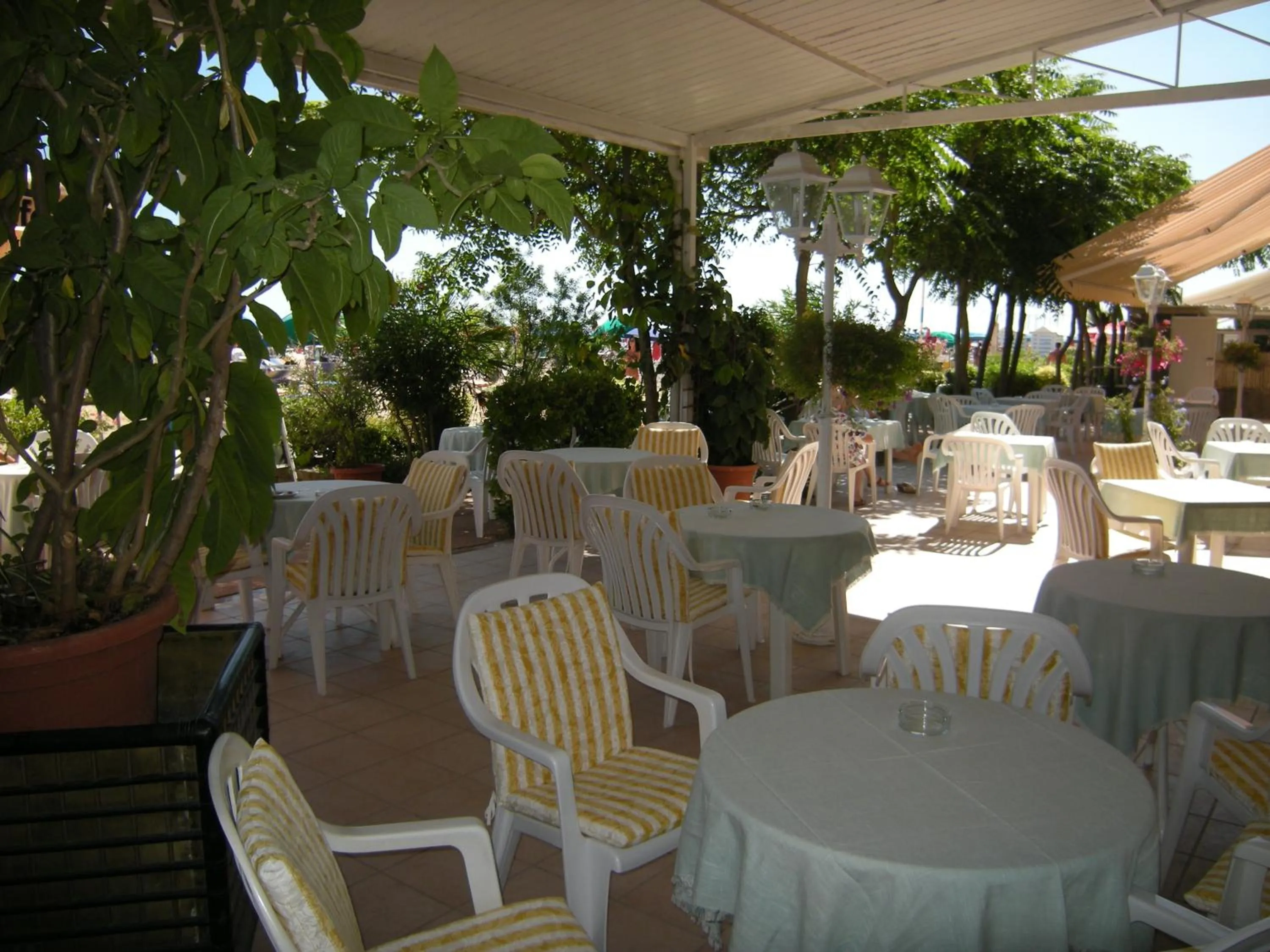Patio in Hotel Continental