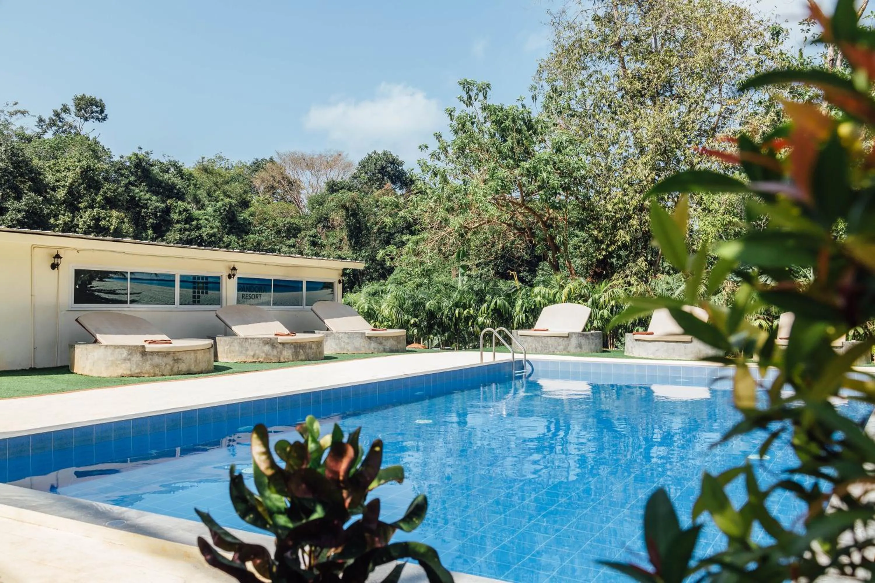 Swimming pool in Pandora