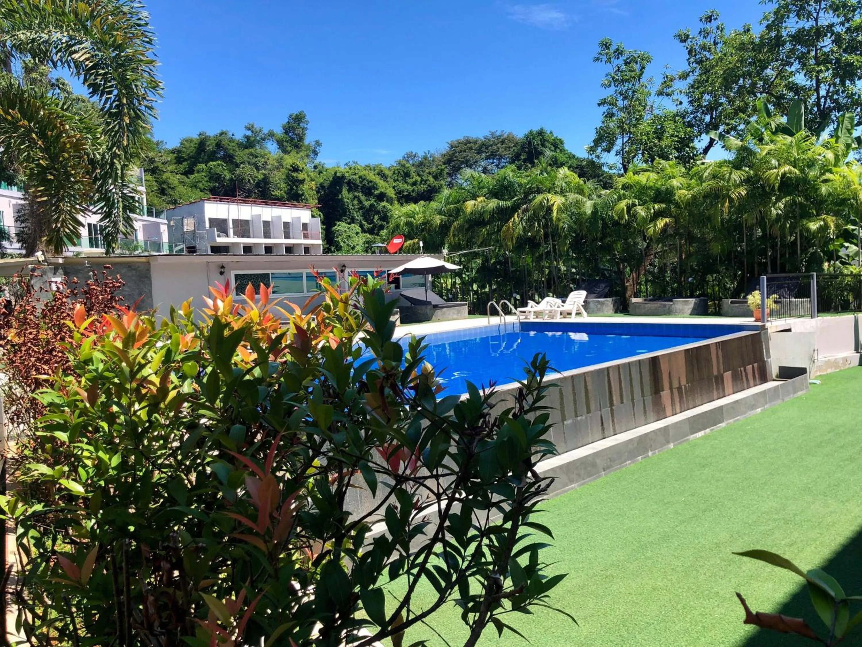 Swimming pool in Pandora