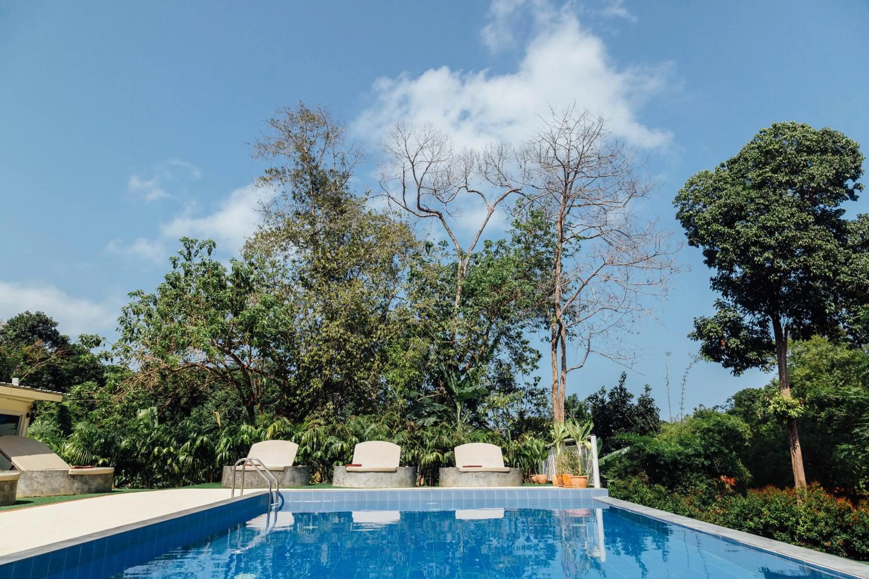 Swimming pool in Pandora