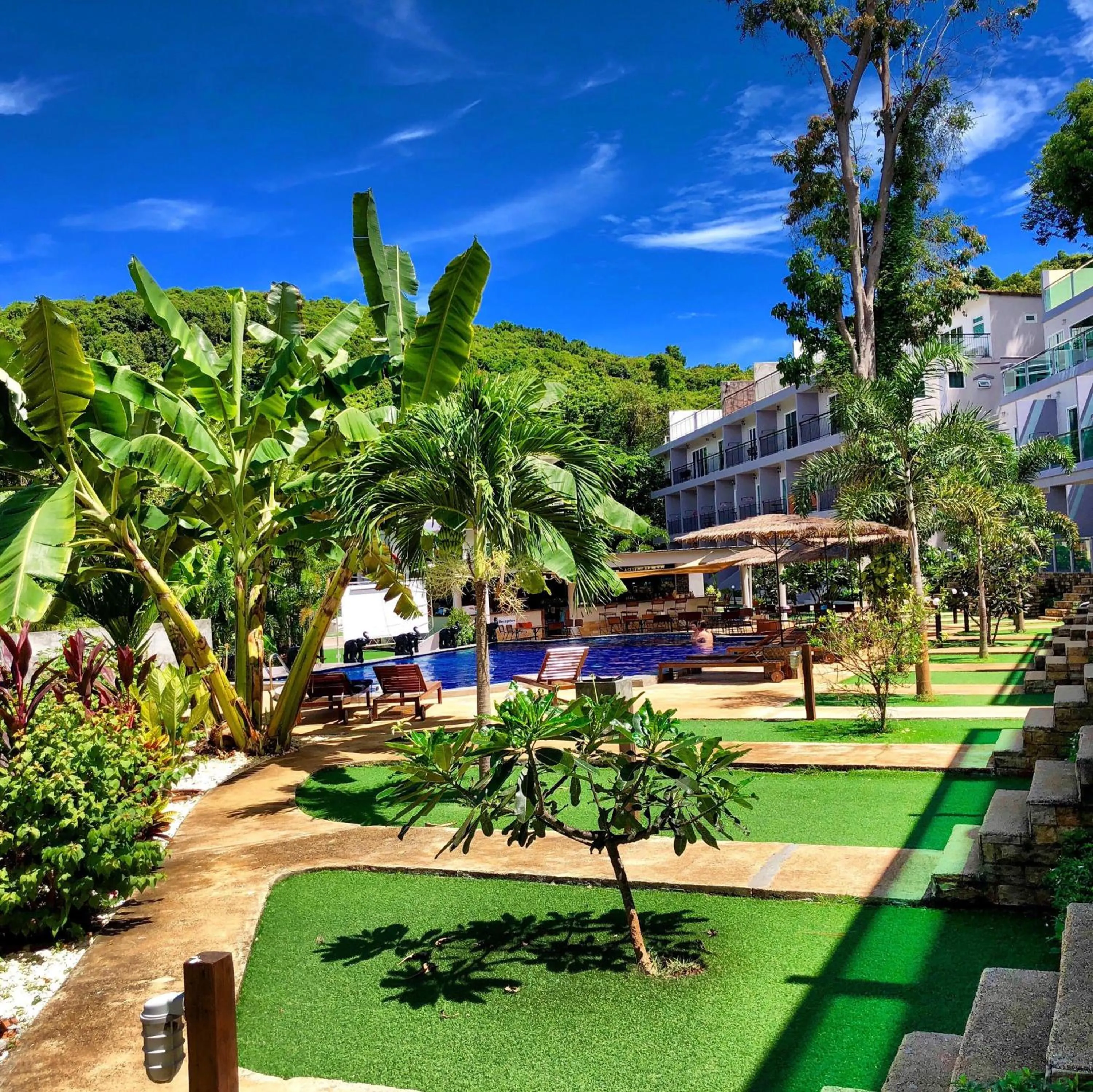 Area and facilities in Pandora