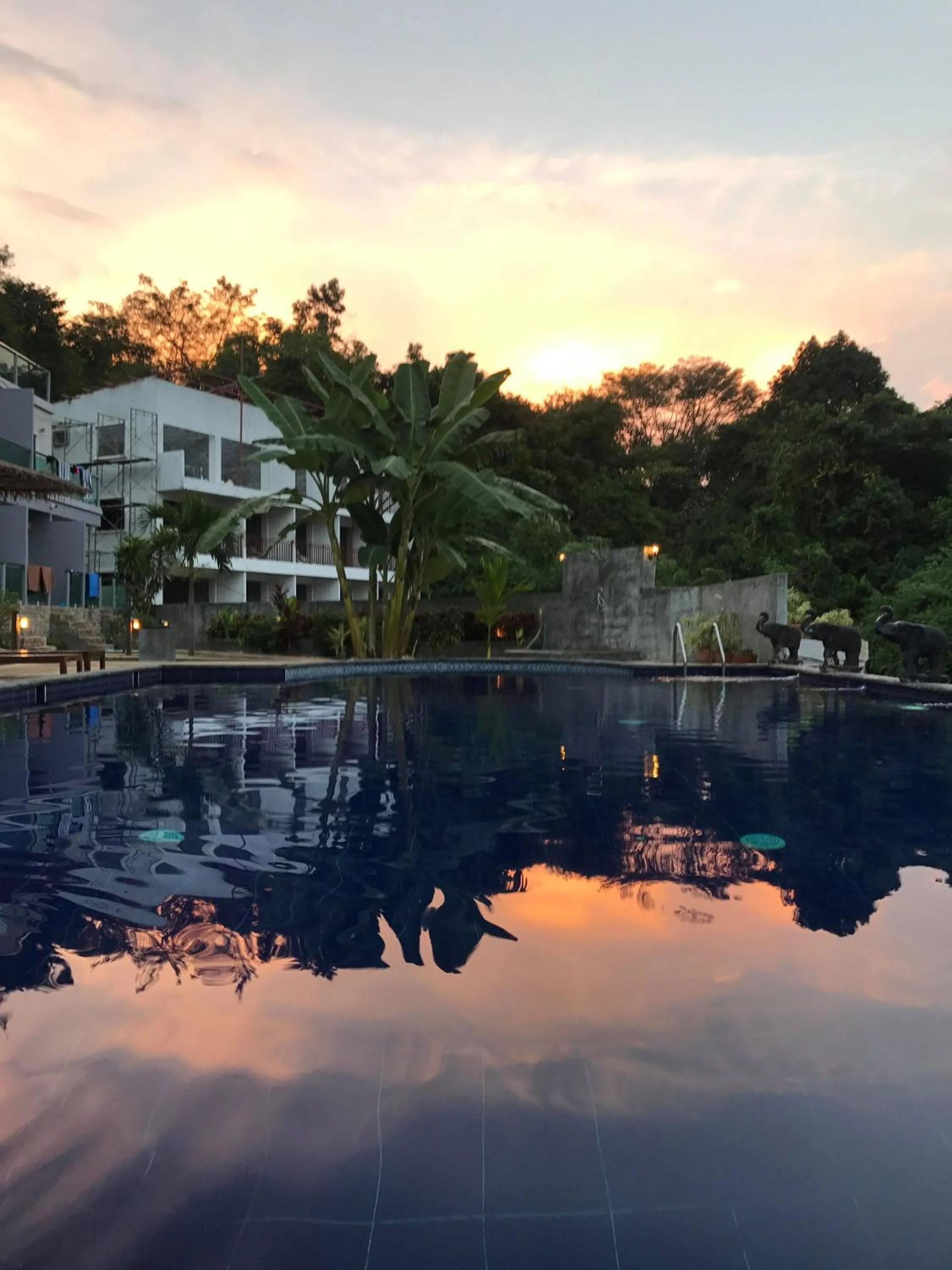 Swimming pool in Pandora