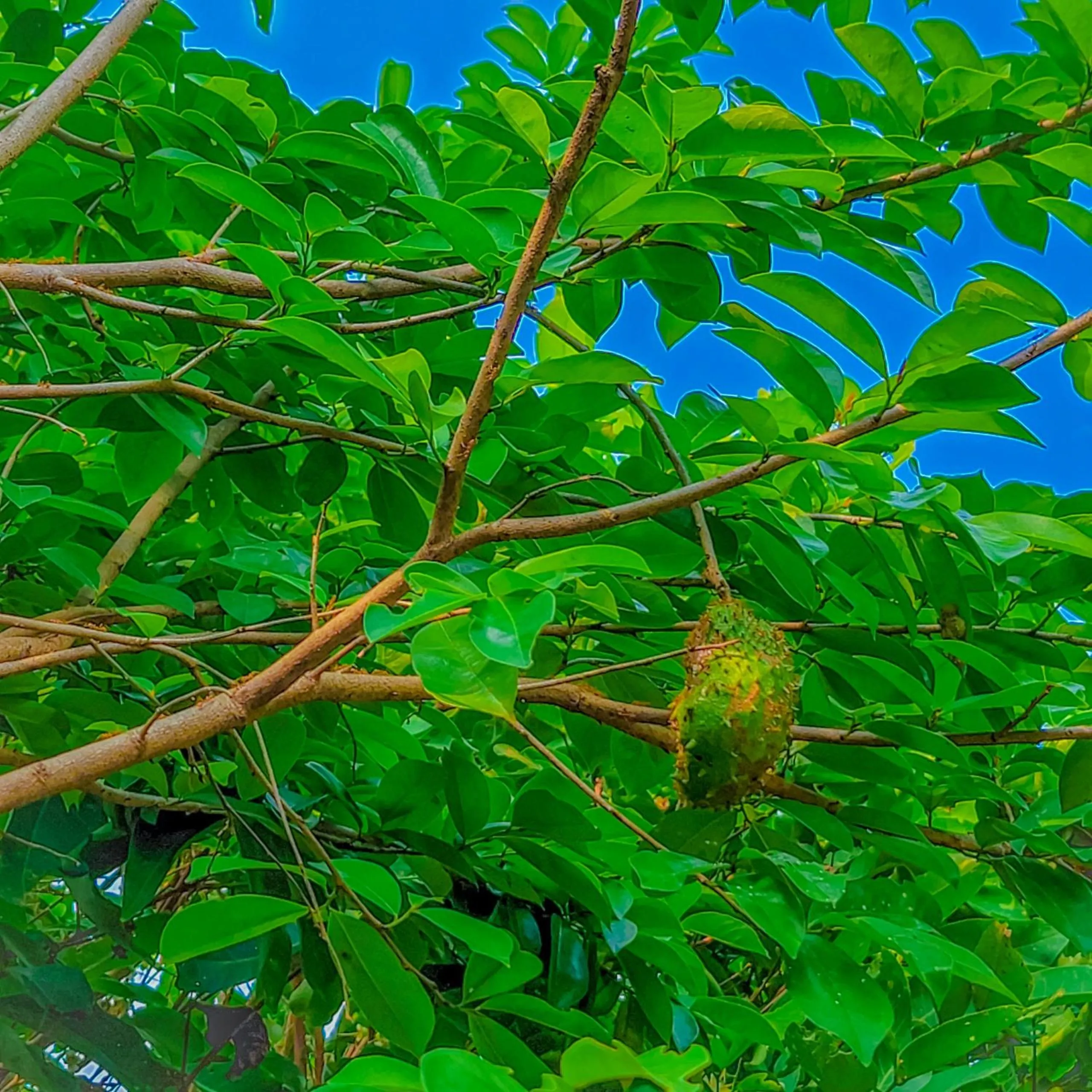 Spring in CASA ECO Mekong Resort