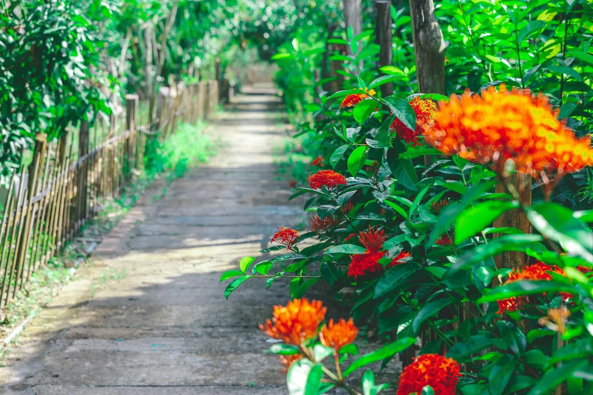 Garden in CASA ECO Mekong Resort