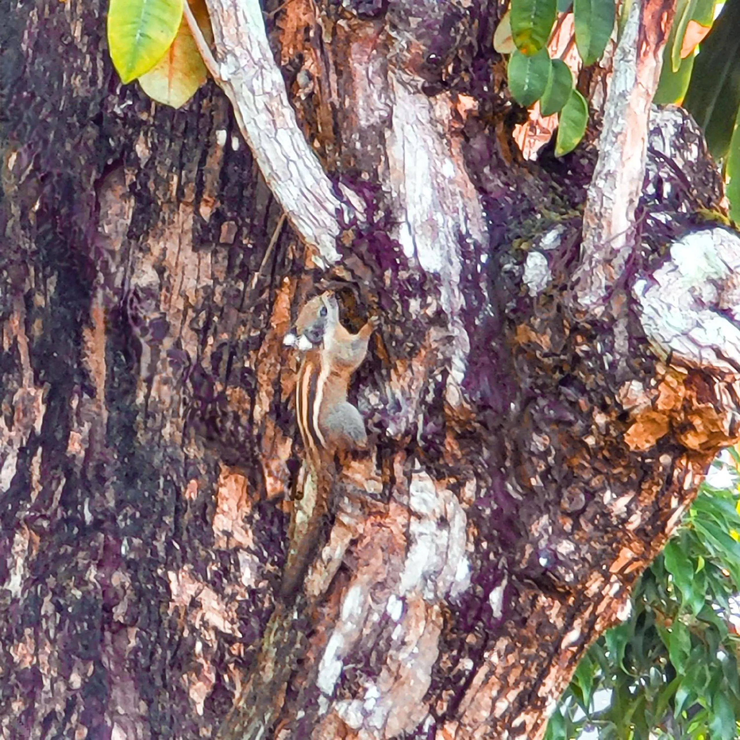 Natural landscape in CASA ECO Mekong Resort