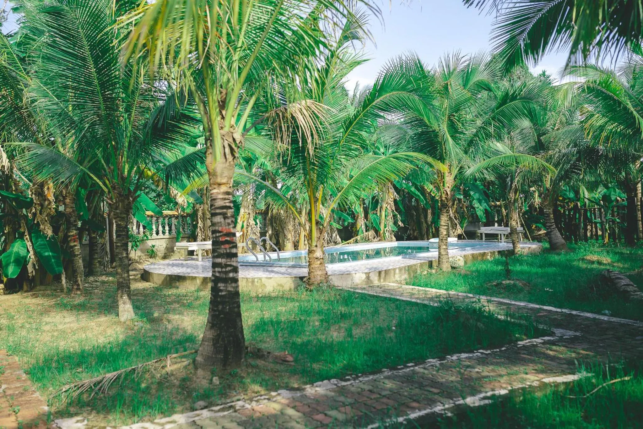 Natural landscape in CASA ECO Mekong Resort