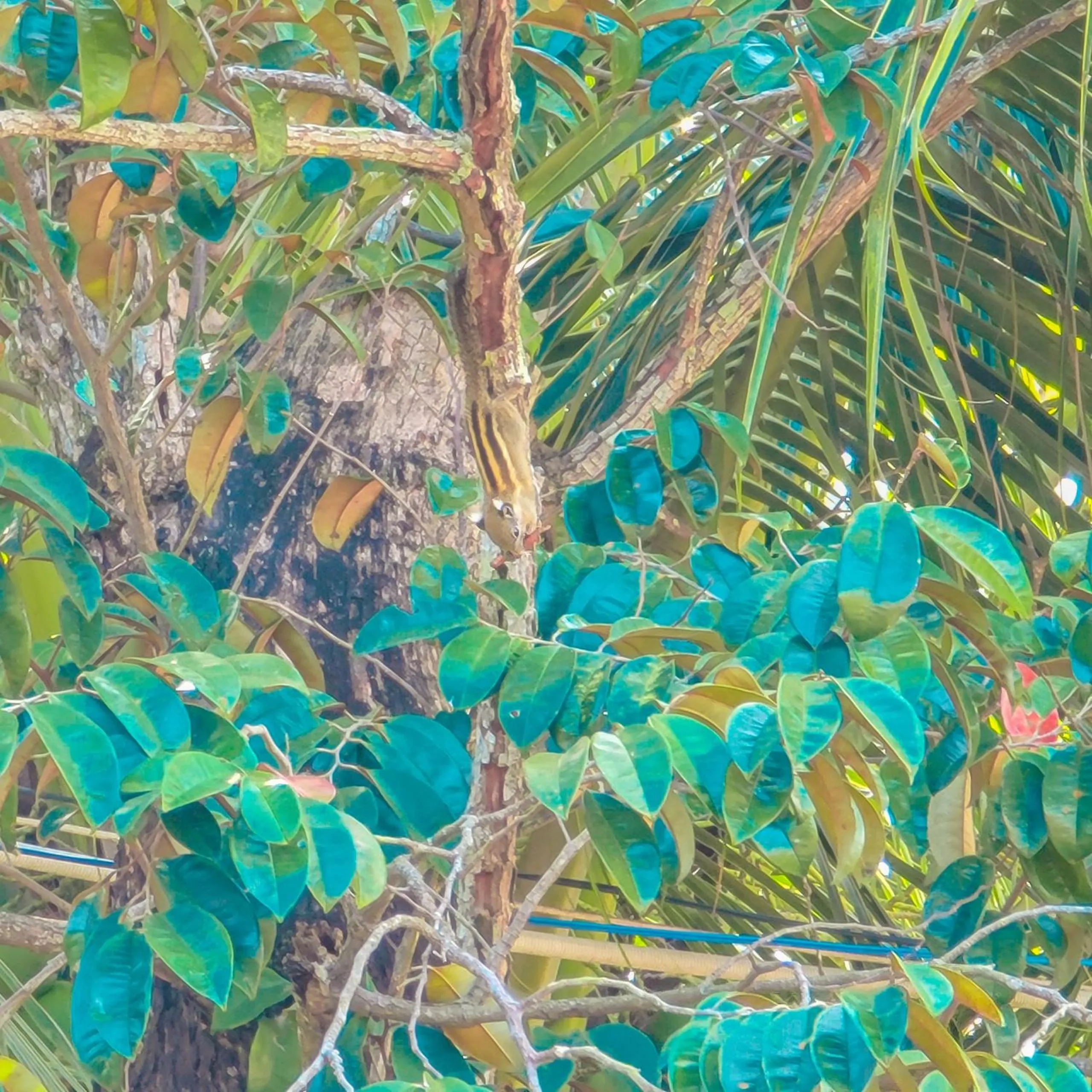 Natural landscape in CASA ECO Mekong Resort