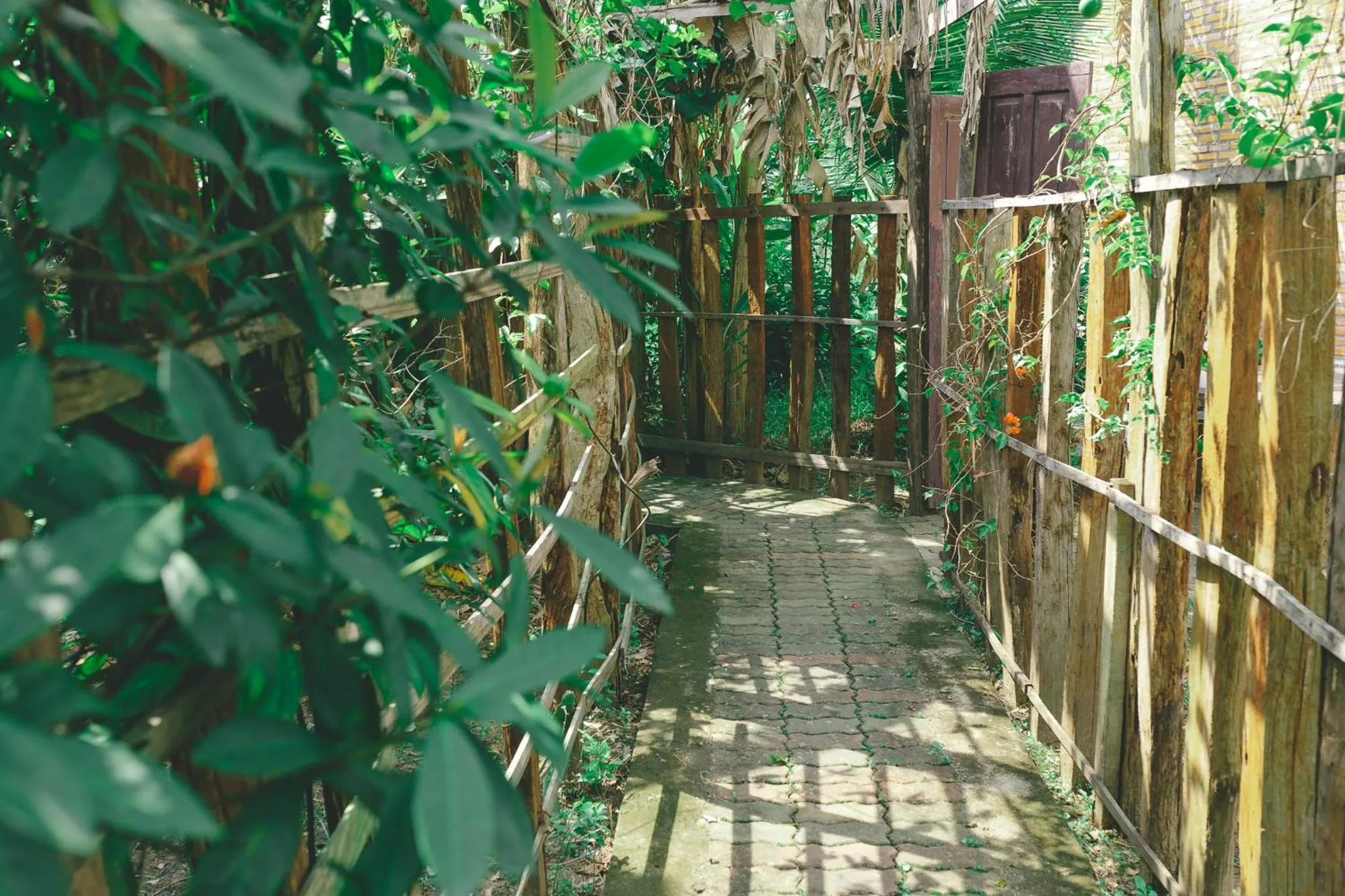 Garden view in CASA ECO Mekong Resort