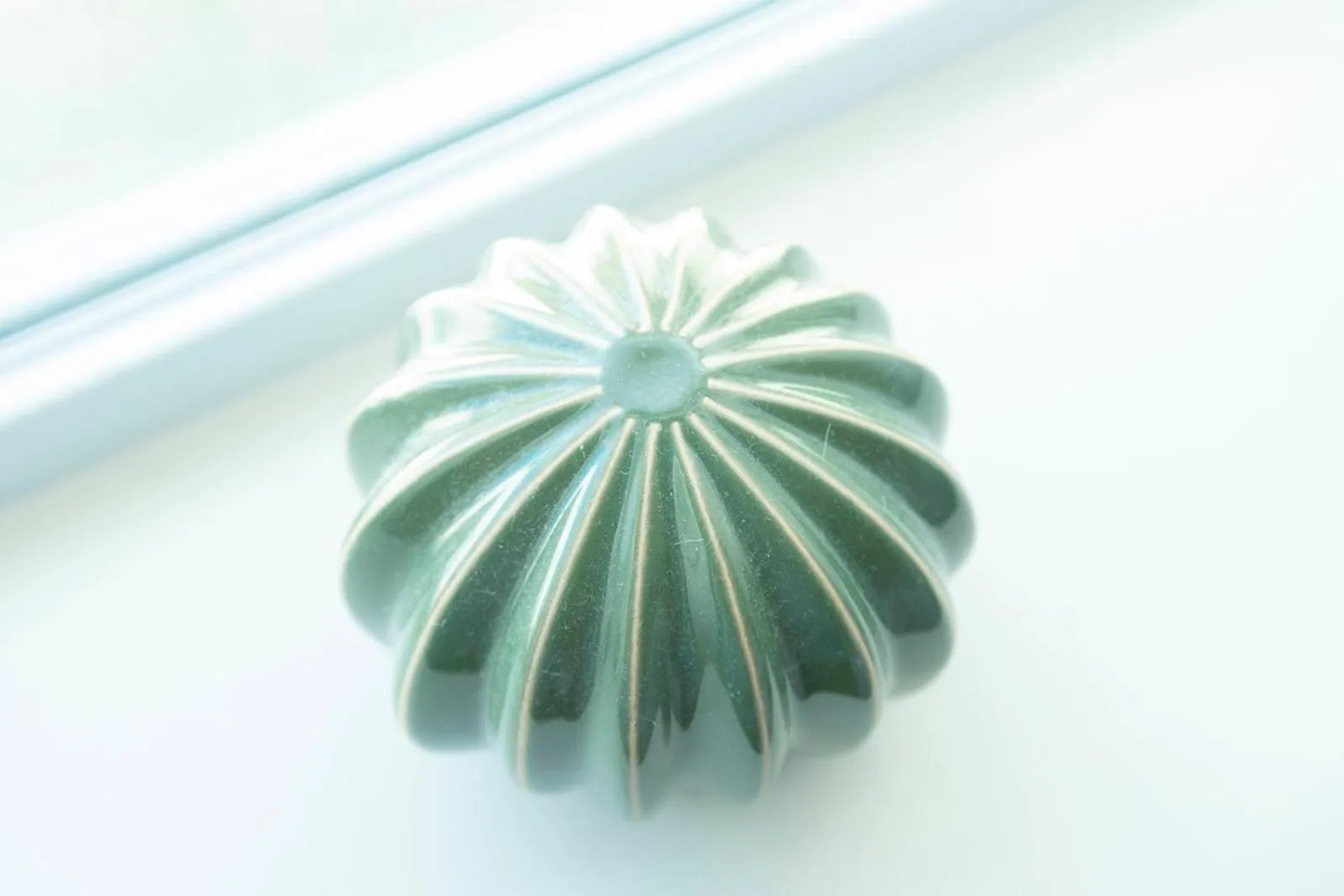 Casa Limonada Boutique Motel