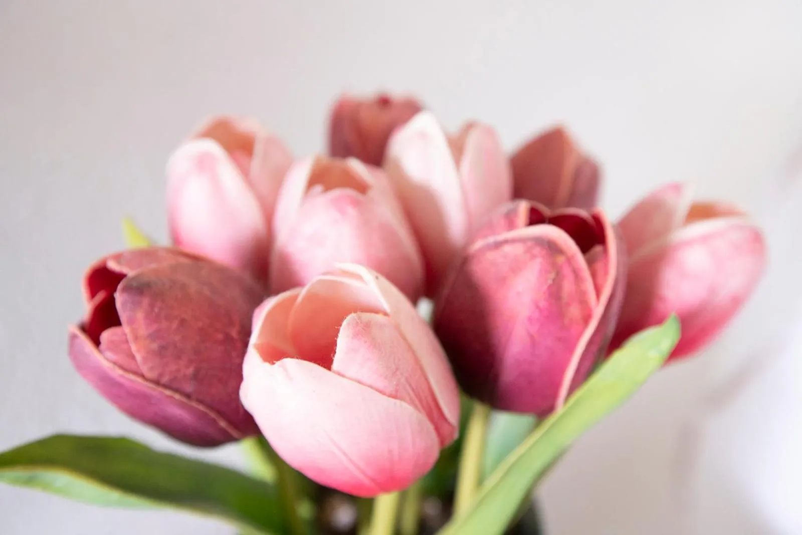 Casa Limonada Boutique Motel