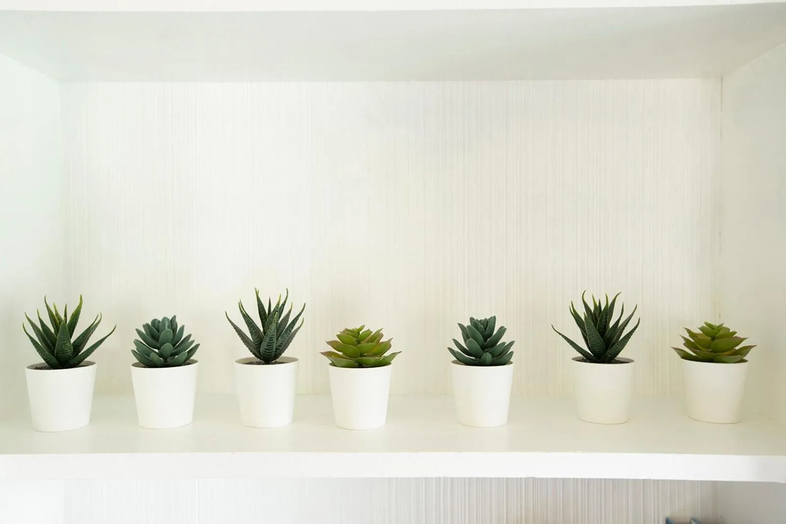 Casa Limonada Boutique Motel