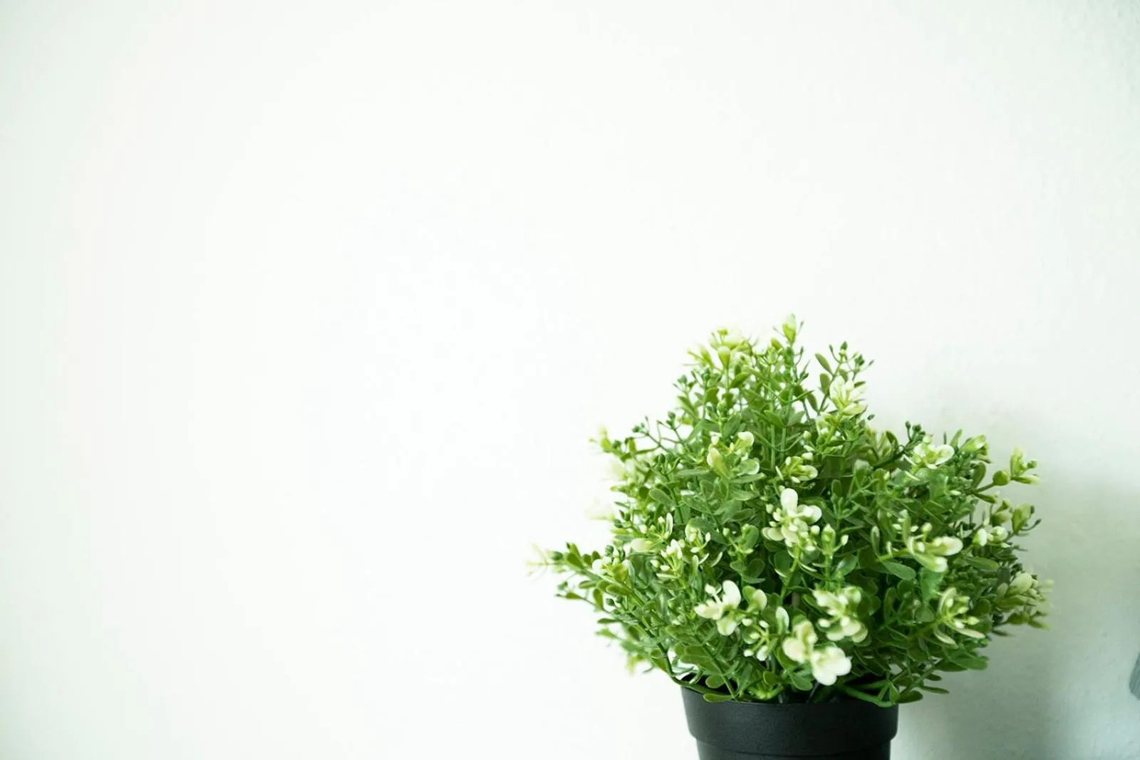 Casa Limonada Boutique Motel