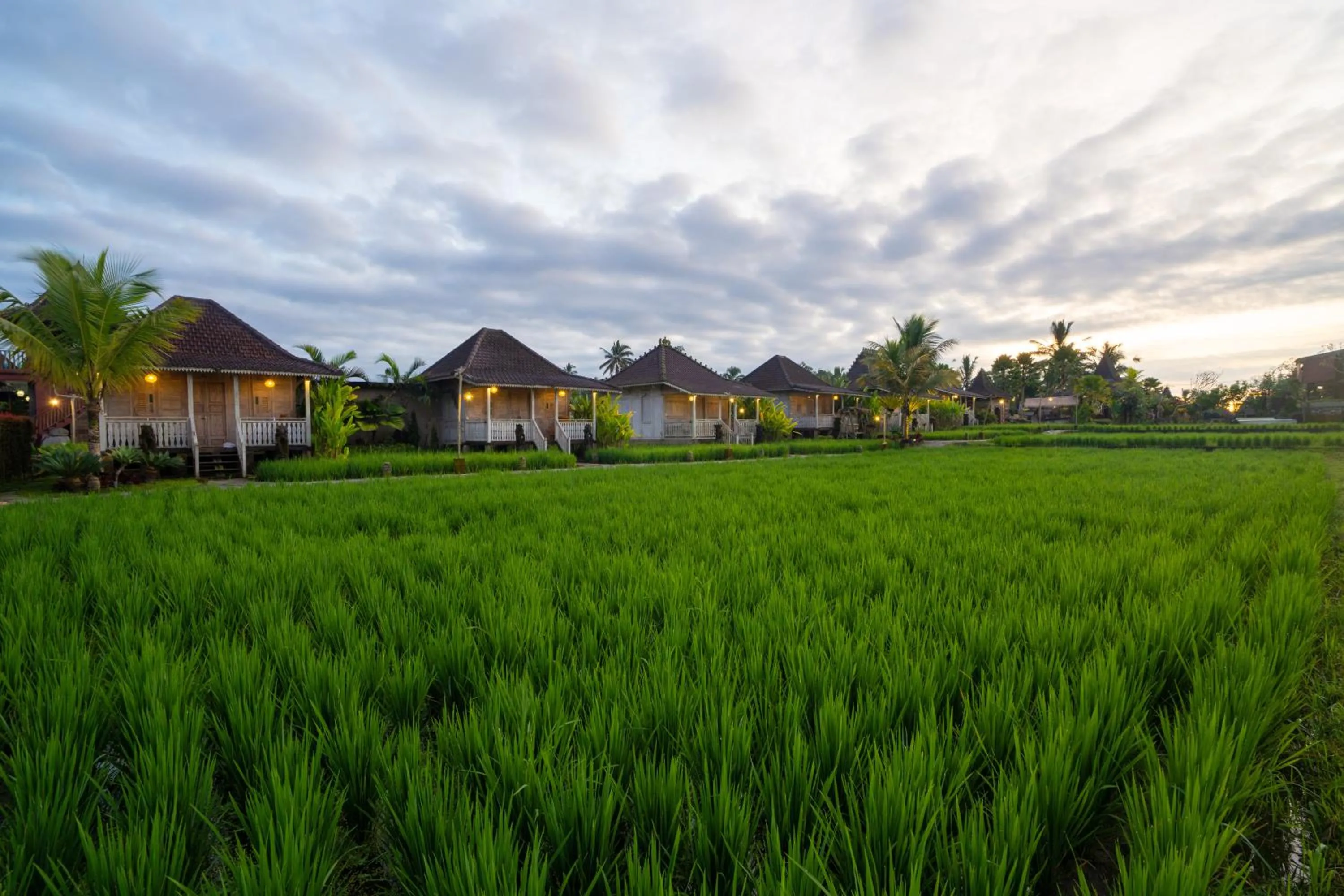 Property building in Uma Sebatu Villa Ubud