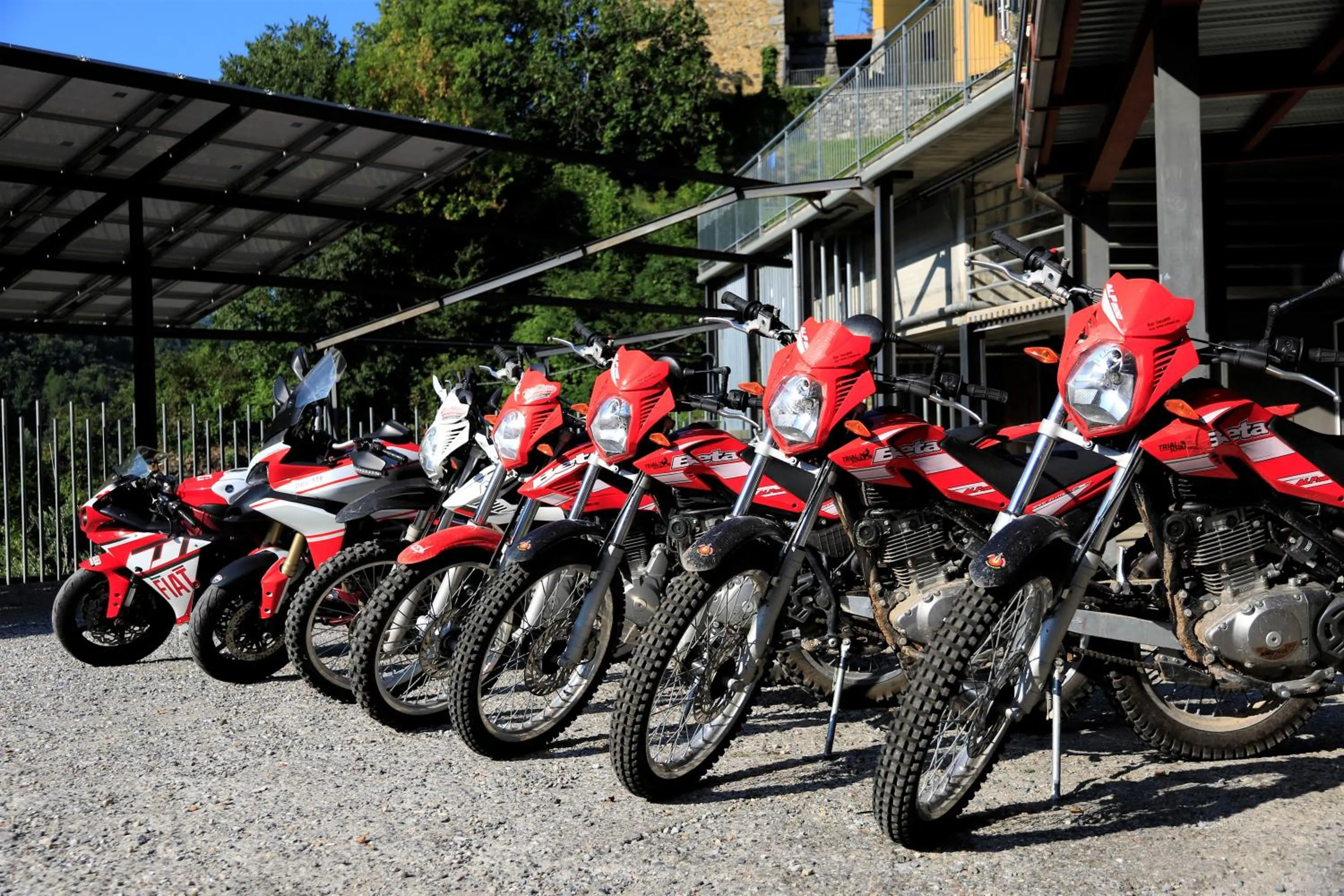 Activities in Hotel Oasi Verde