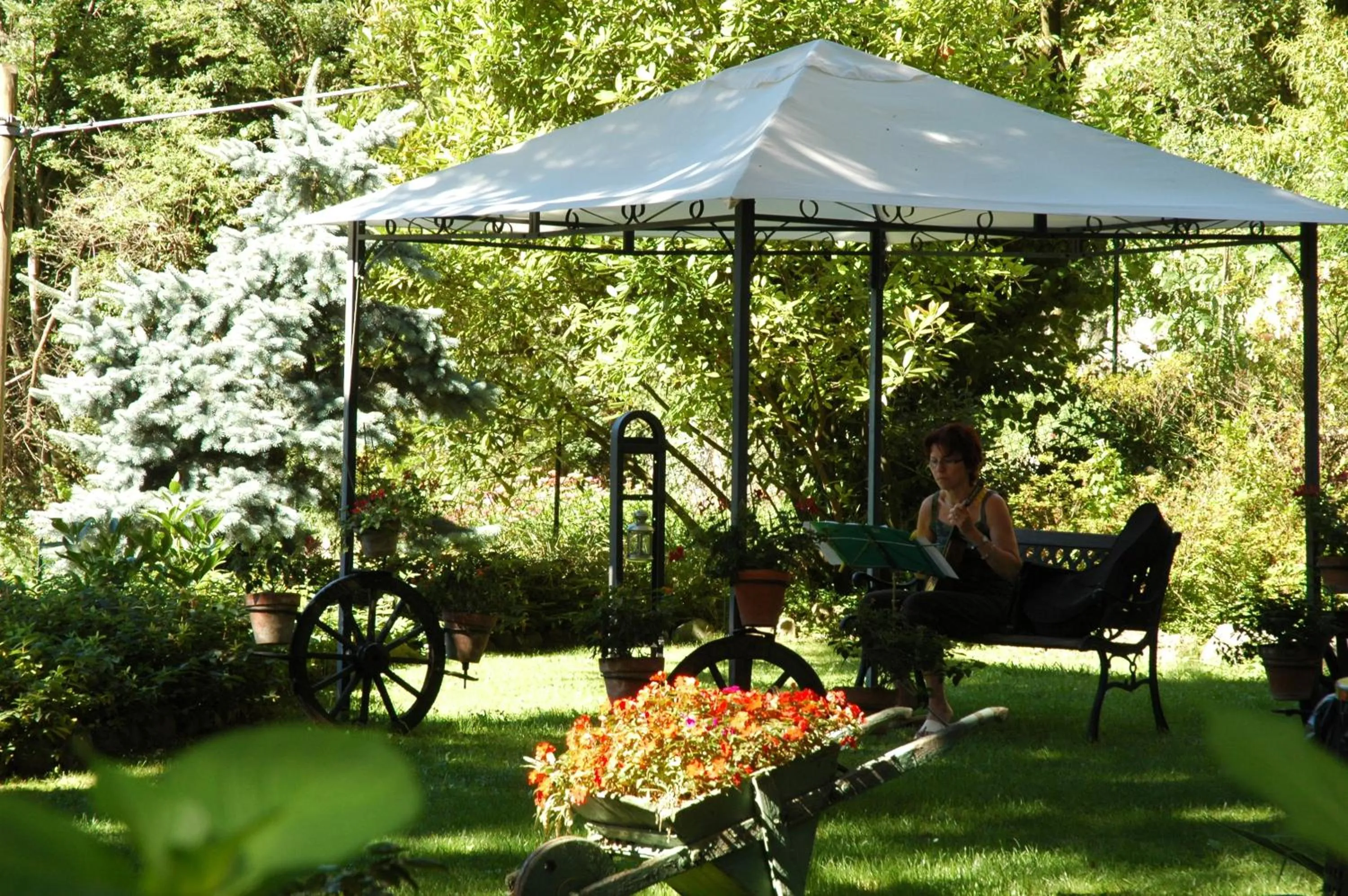 Garden in Hotel Oasi Verde
