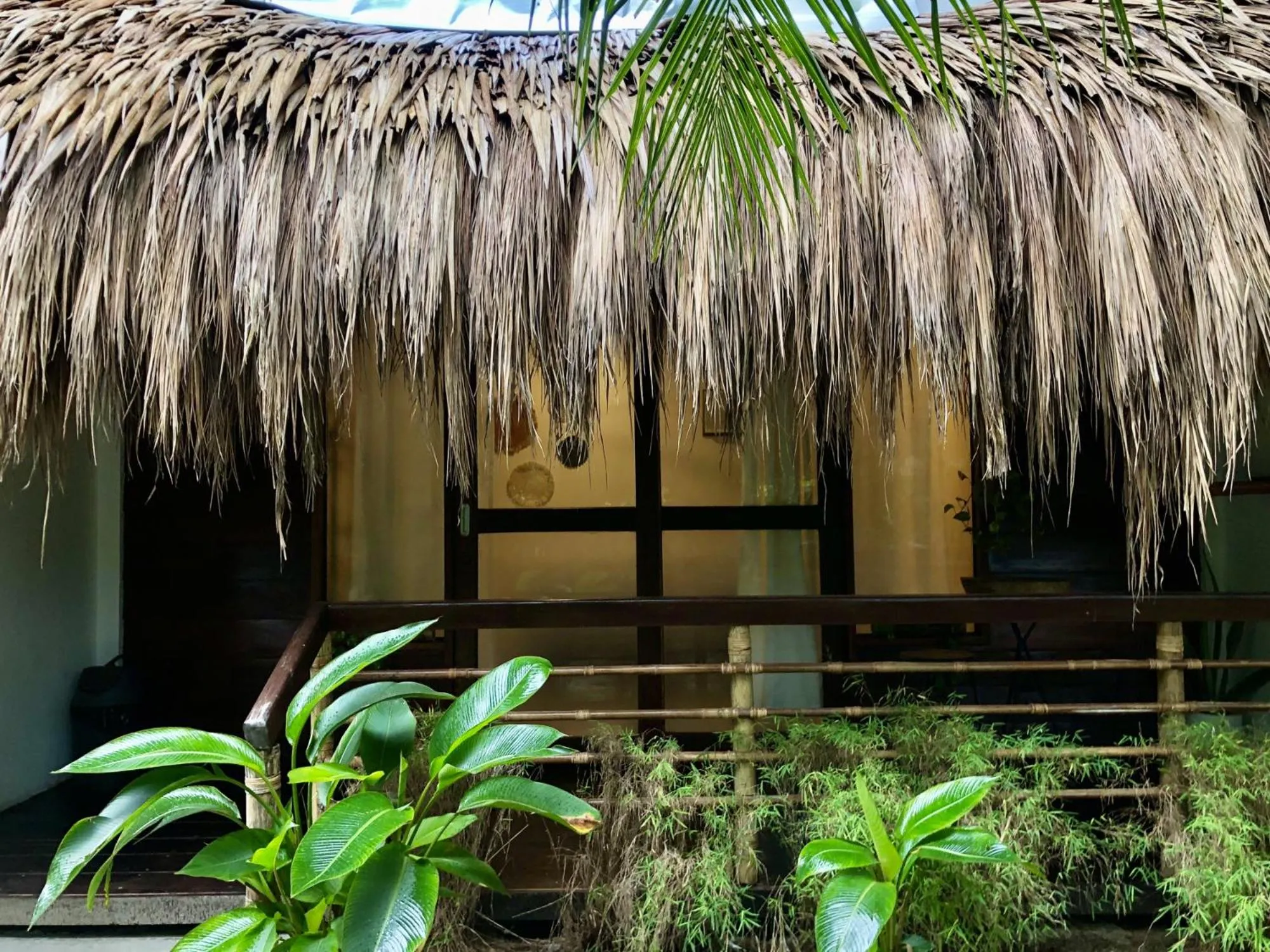 Natural landscape in Happiness Beach Resort Siargao