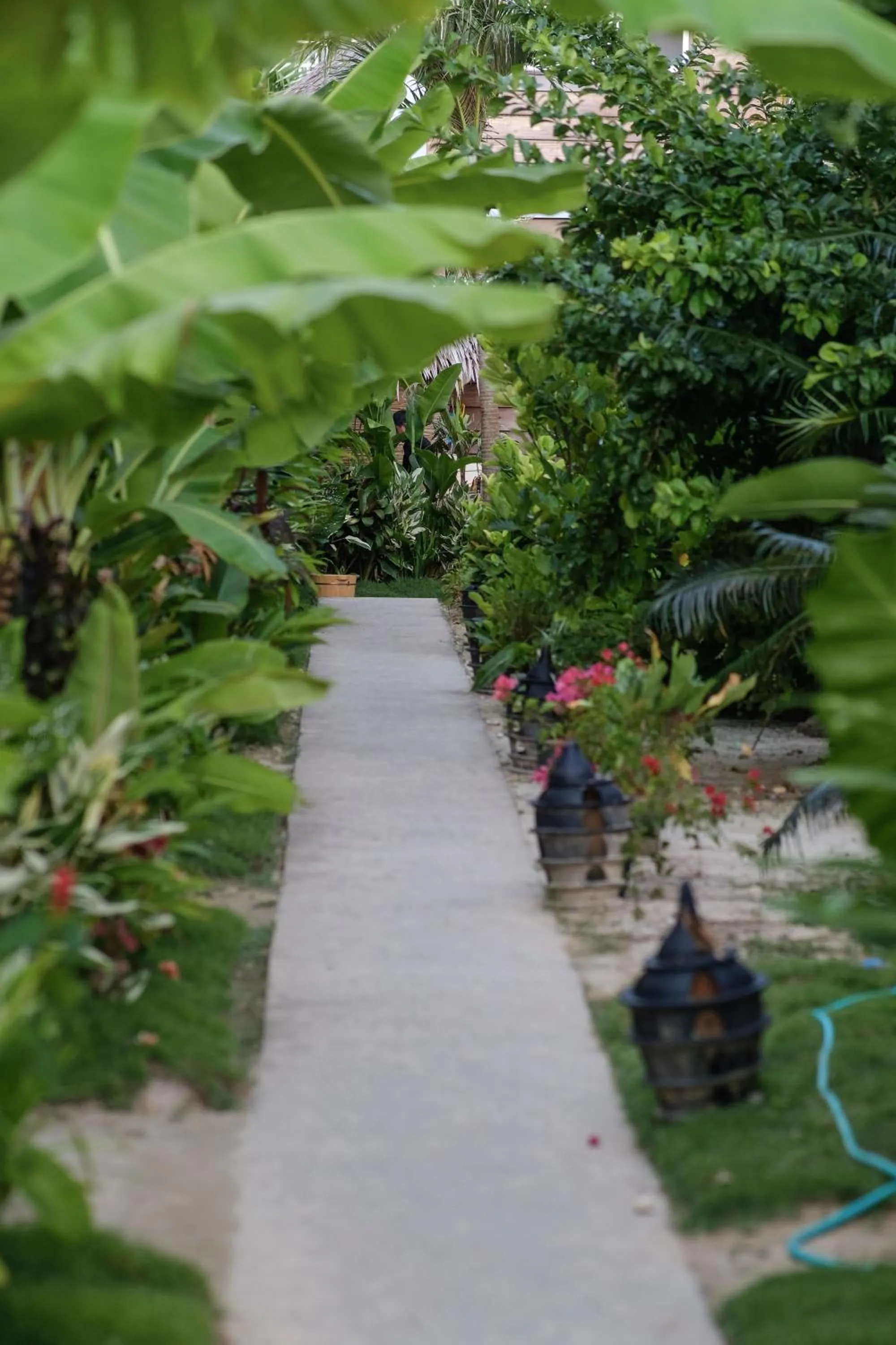 Garden view in Happiness Beach Resort Siargao