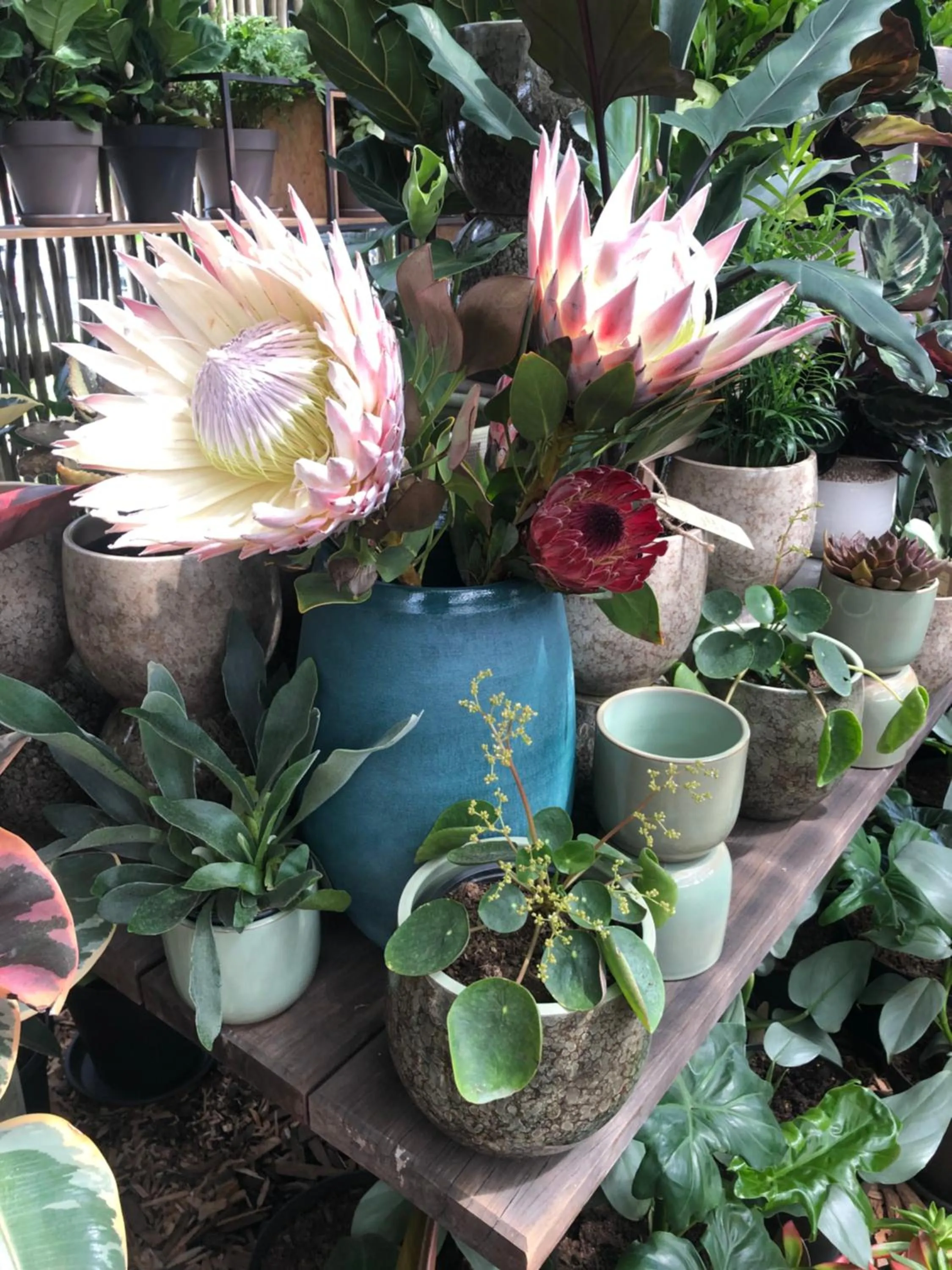 Decorative detail in The Little Palm