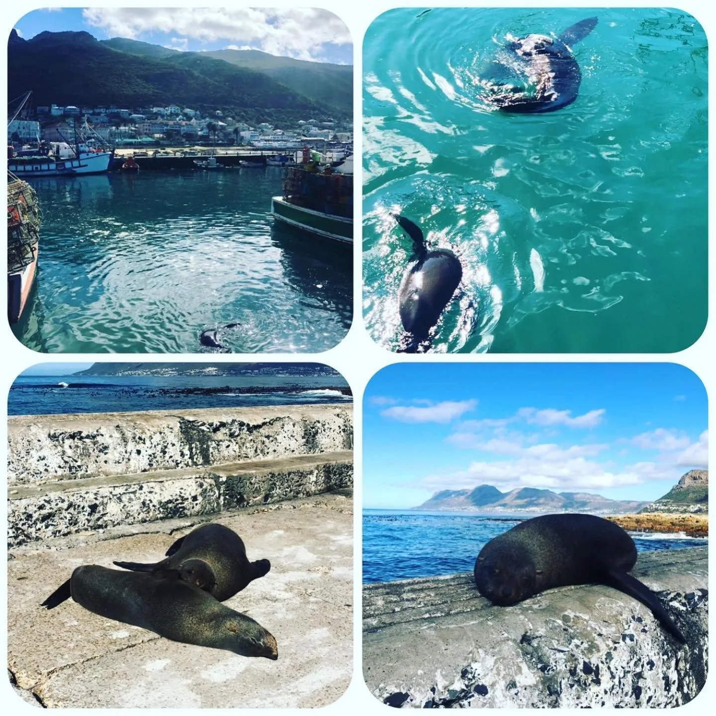 Natural landscape in The Little Palm