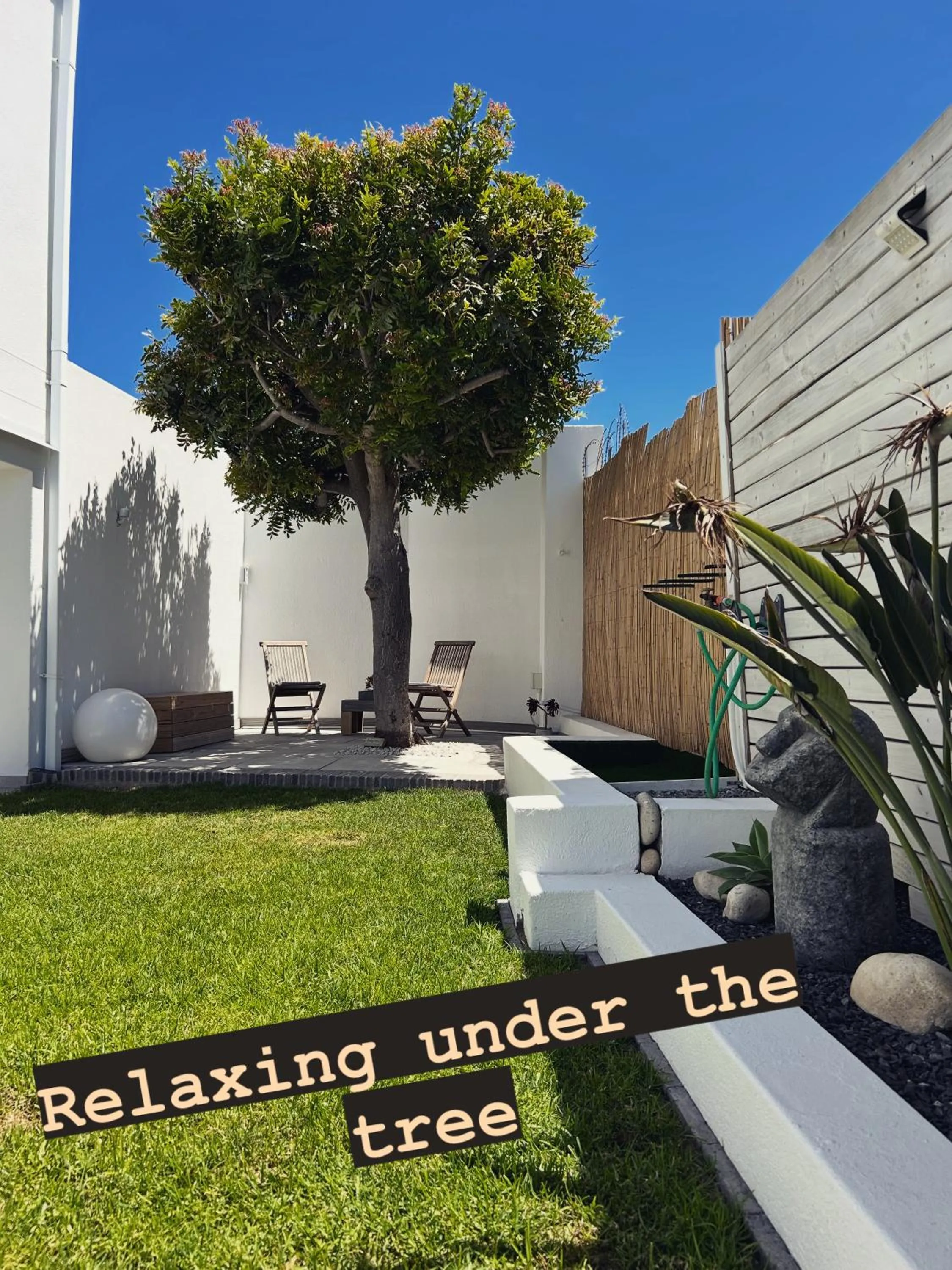 Garden view in The Little Palm