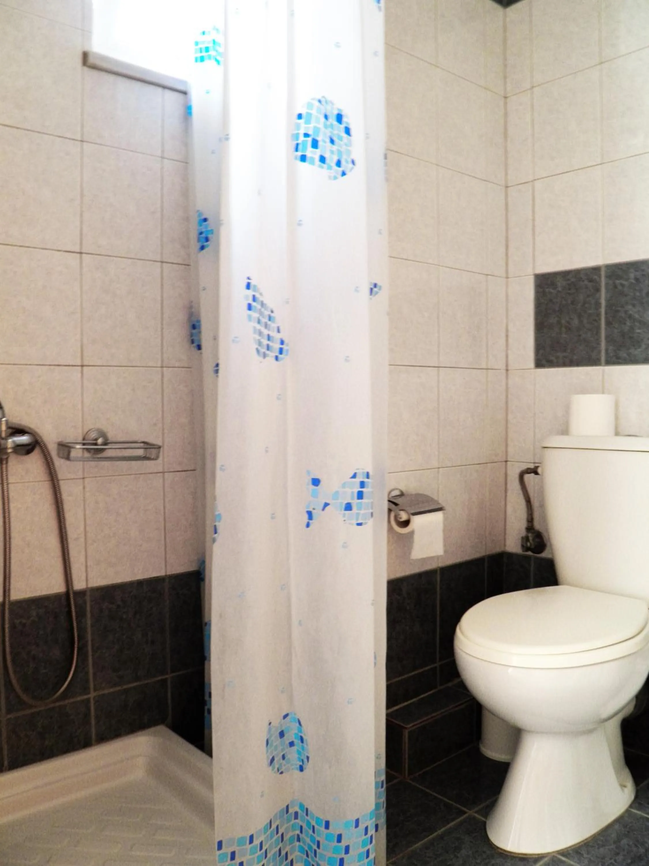 Shower in Christi Apartments