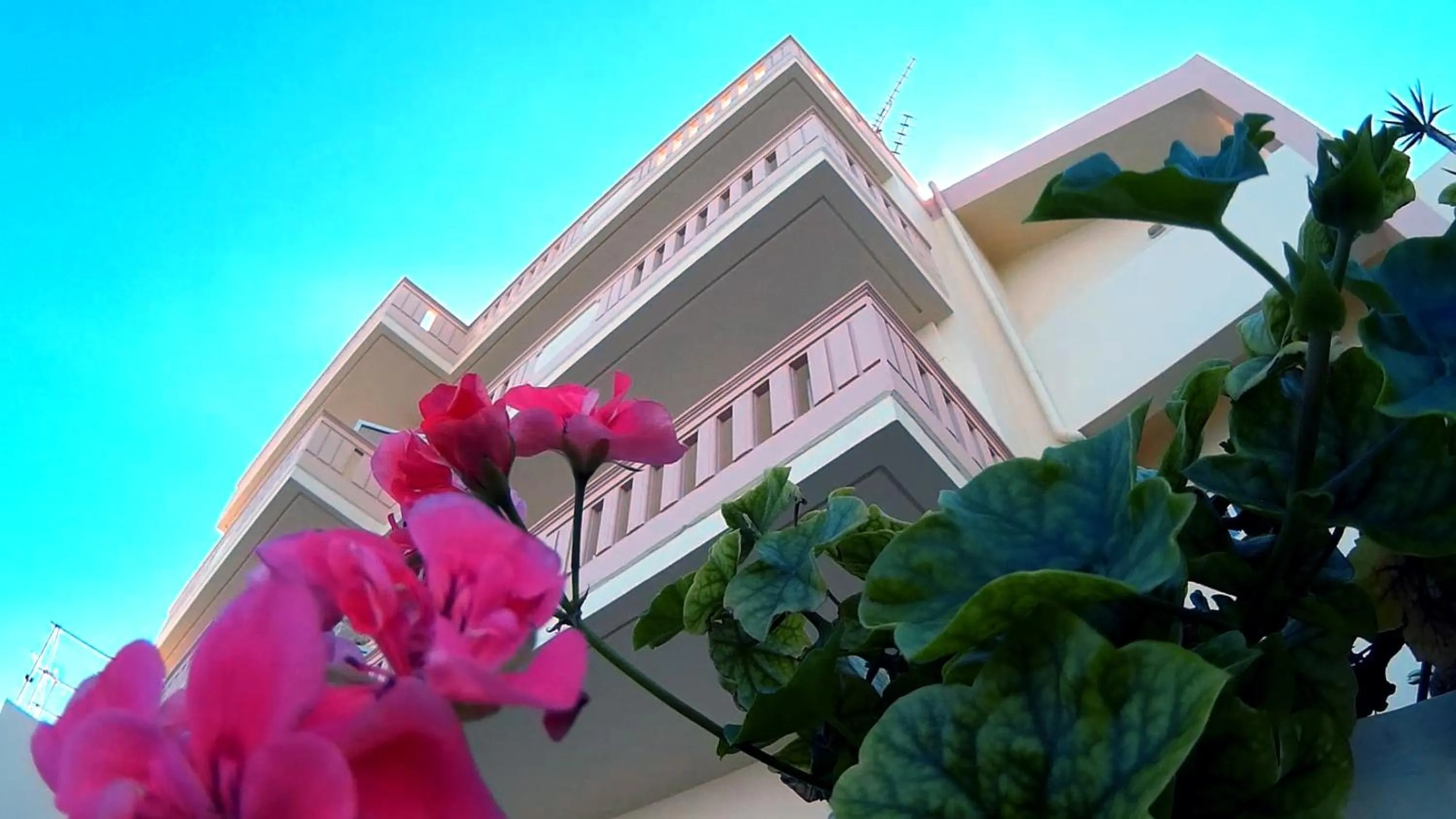 Property building in Christi Apartments