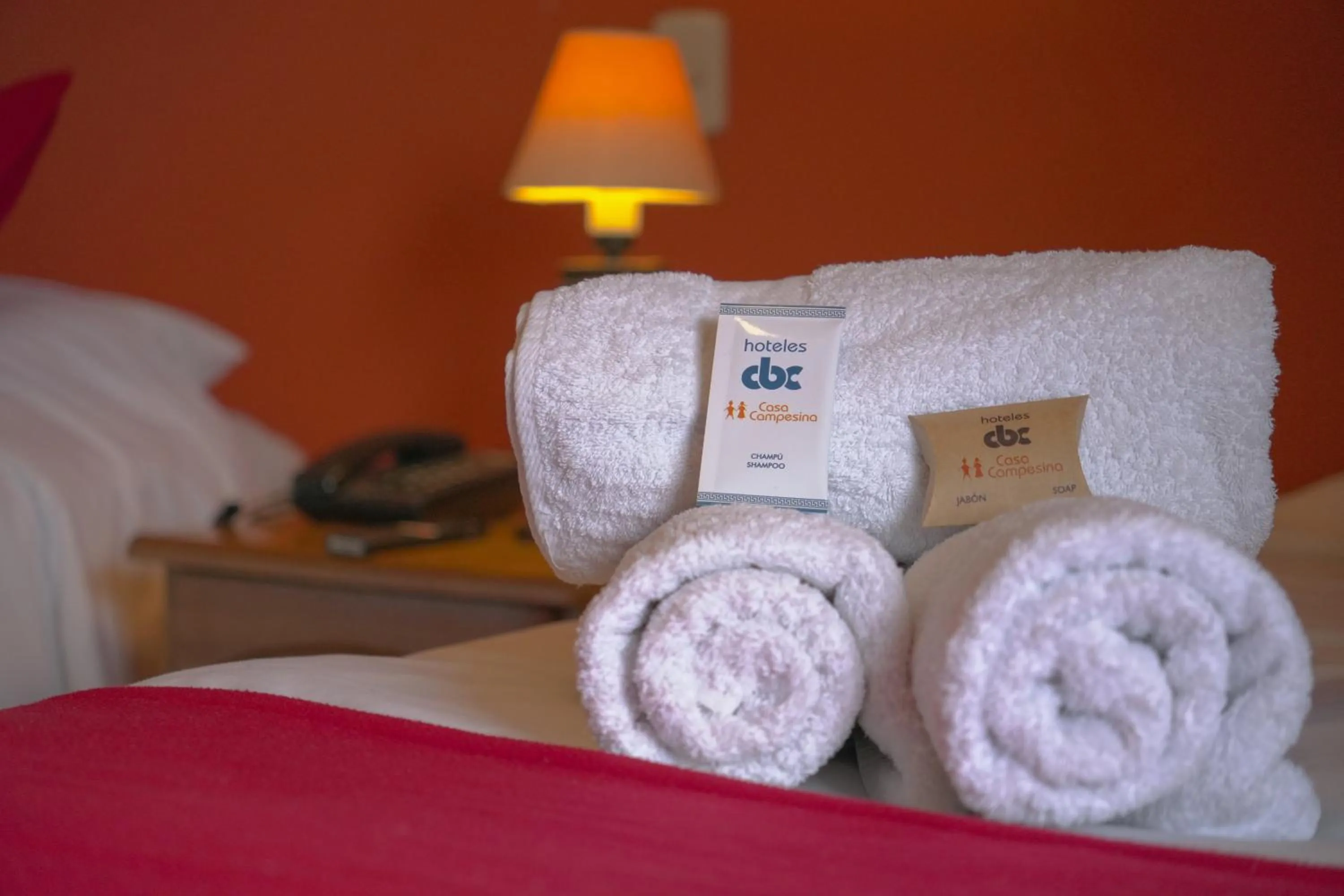 Decorative detail, Bed in Hotel Casa Campesina